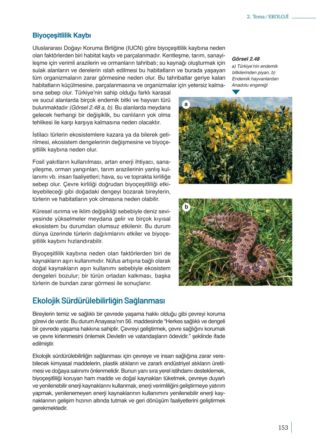 10. Sınıf Meb Yayınları Biyoloji Ders Kitabı Sayfa 153 Cevapları 10. Sınıf Meb Yayınları Biyoloji Ders Kitabı Sayfa 153 Cevapları