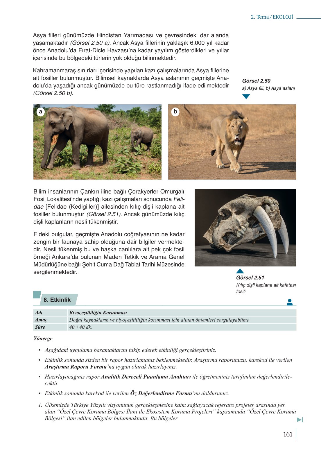 10. Sınıf Meb Yayınları Biyoloji Ders Kitabı Sayfa 161 Cevapları