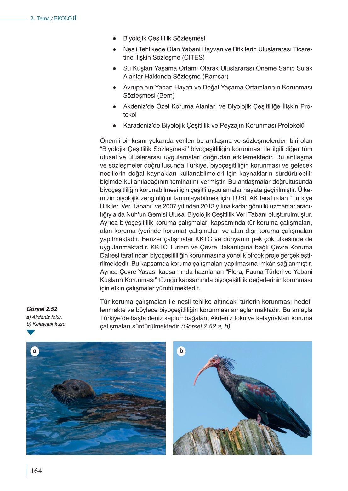 10. Sınıf Meb Yayınları Biyoloji Ders Kitabı Sayfa 164 Cevapları 10. Sınıf Meb Yayınları Biyoloji Ders Kitabı Sayfa 164 Cevapları
