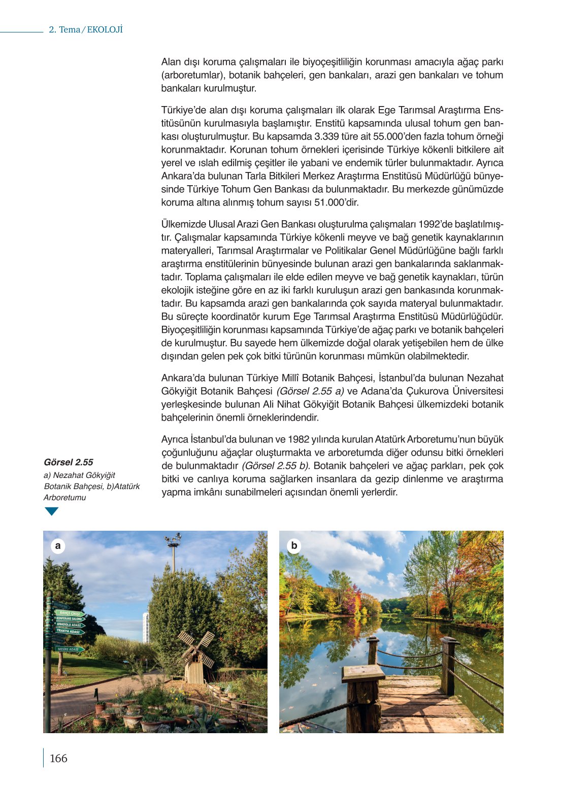 10. Sınıf Meb Yayınları Biyoloji Ders Kitabı Sayfa 166 Cevapları