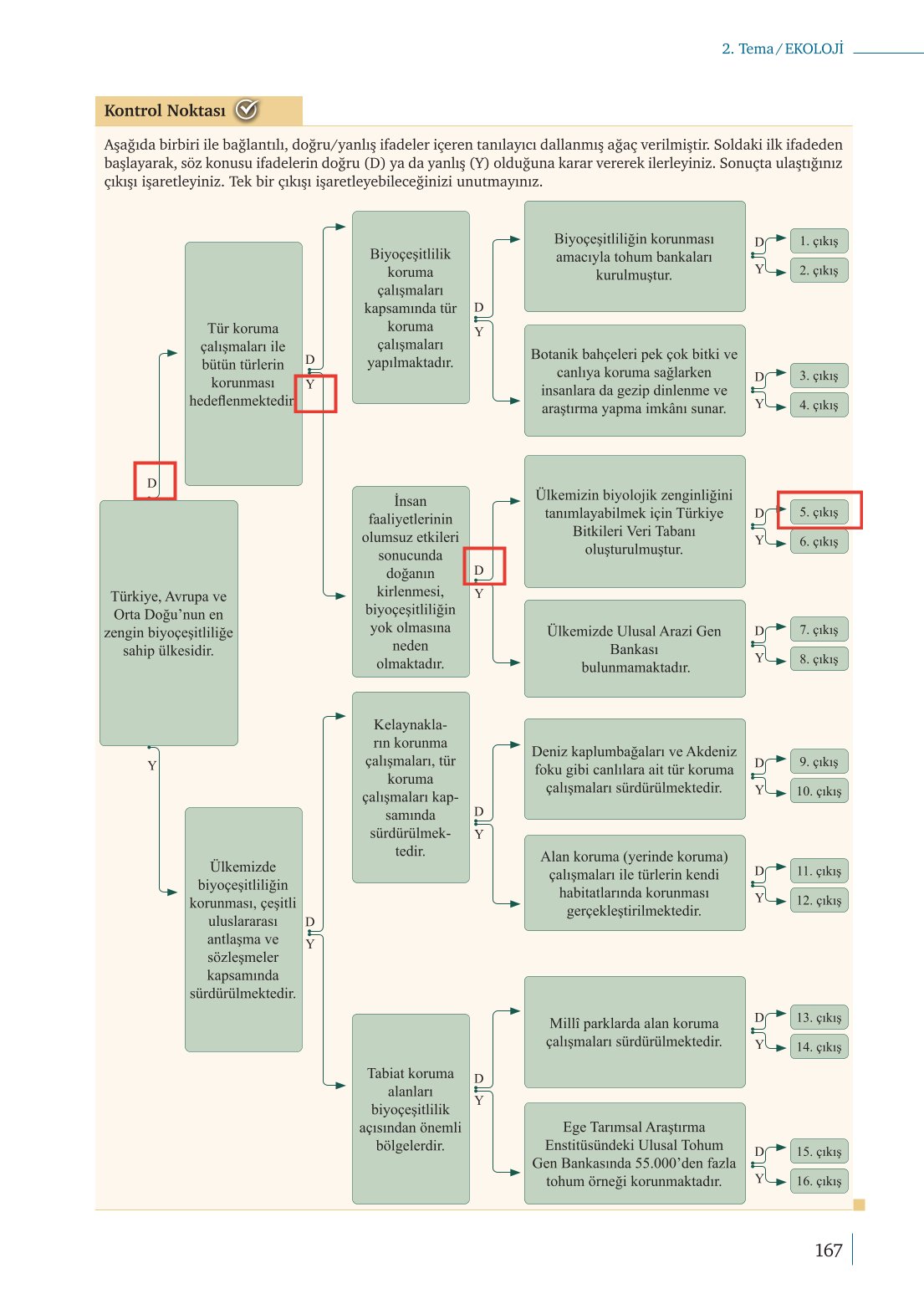 10. Sınıf Meb Yayınları Biyoloji Ders Kitabı Sayfa 167 Cevapları