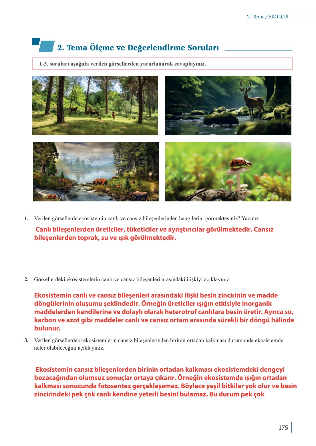 10. Sınıf Meb Yayınları Biyoloji Ders Kitabı Sayfa 175 Cevapları
