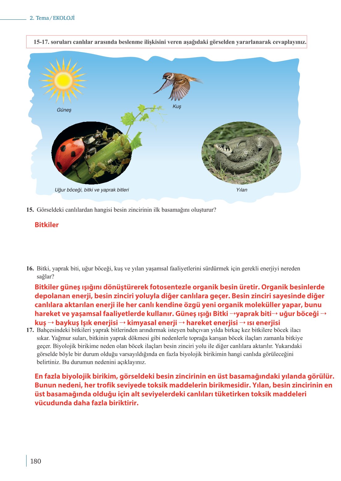 10. Sınıf Meb Yayınları Biyoloji Ders Kitabı Sayfa 180 Cevapları