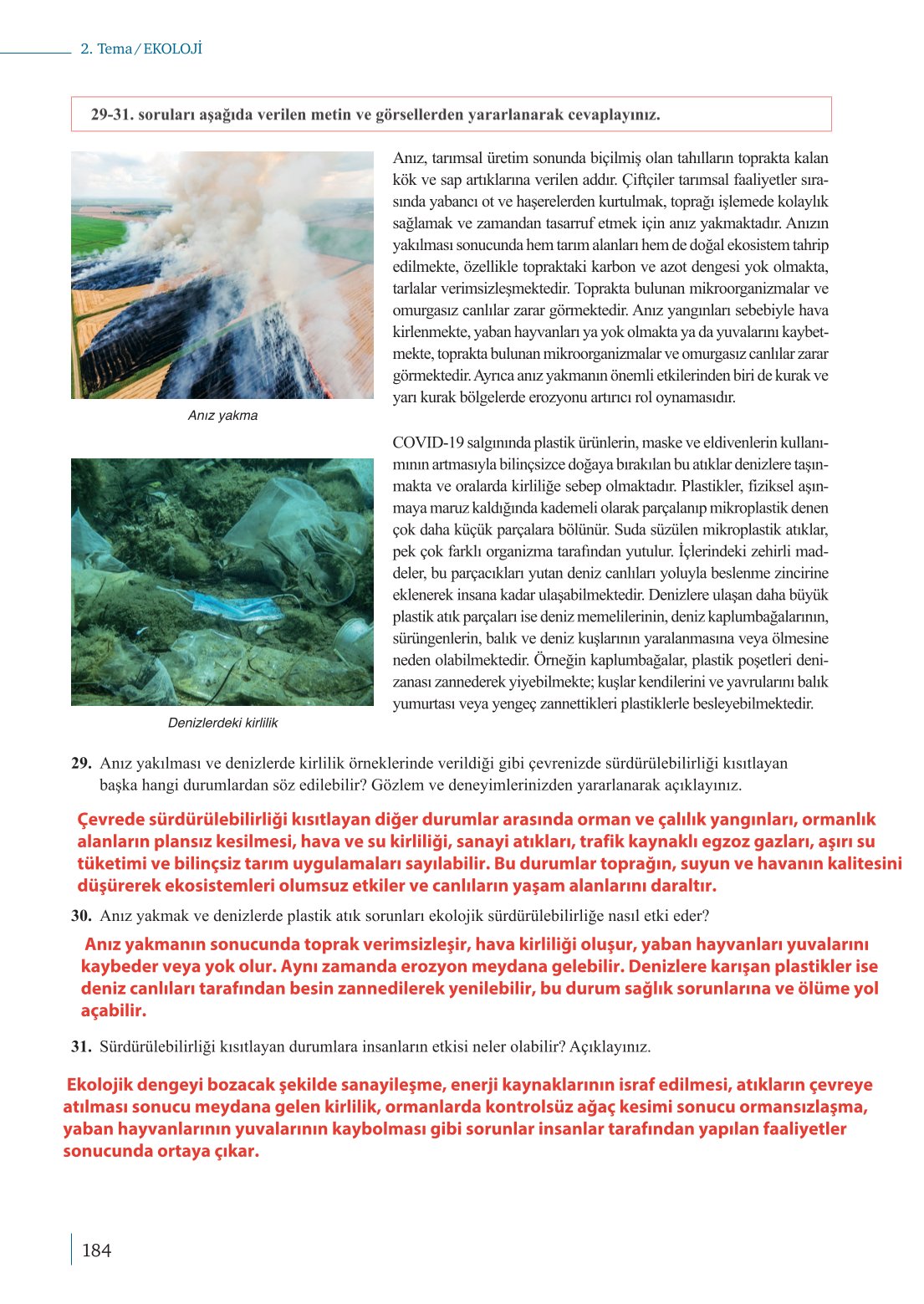 10. Sınıf Meb Yayınları Biyoloji Ders Kitabı Sayfa 184 Cevapları