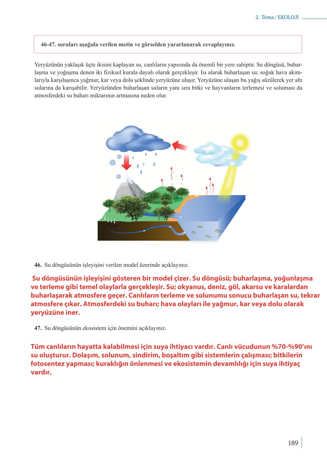 10. Sınıf Meb Yayınları Biyoloji Ders Kitabı Sayfa 189 Cevapları