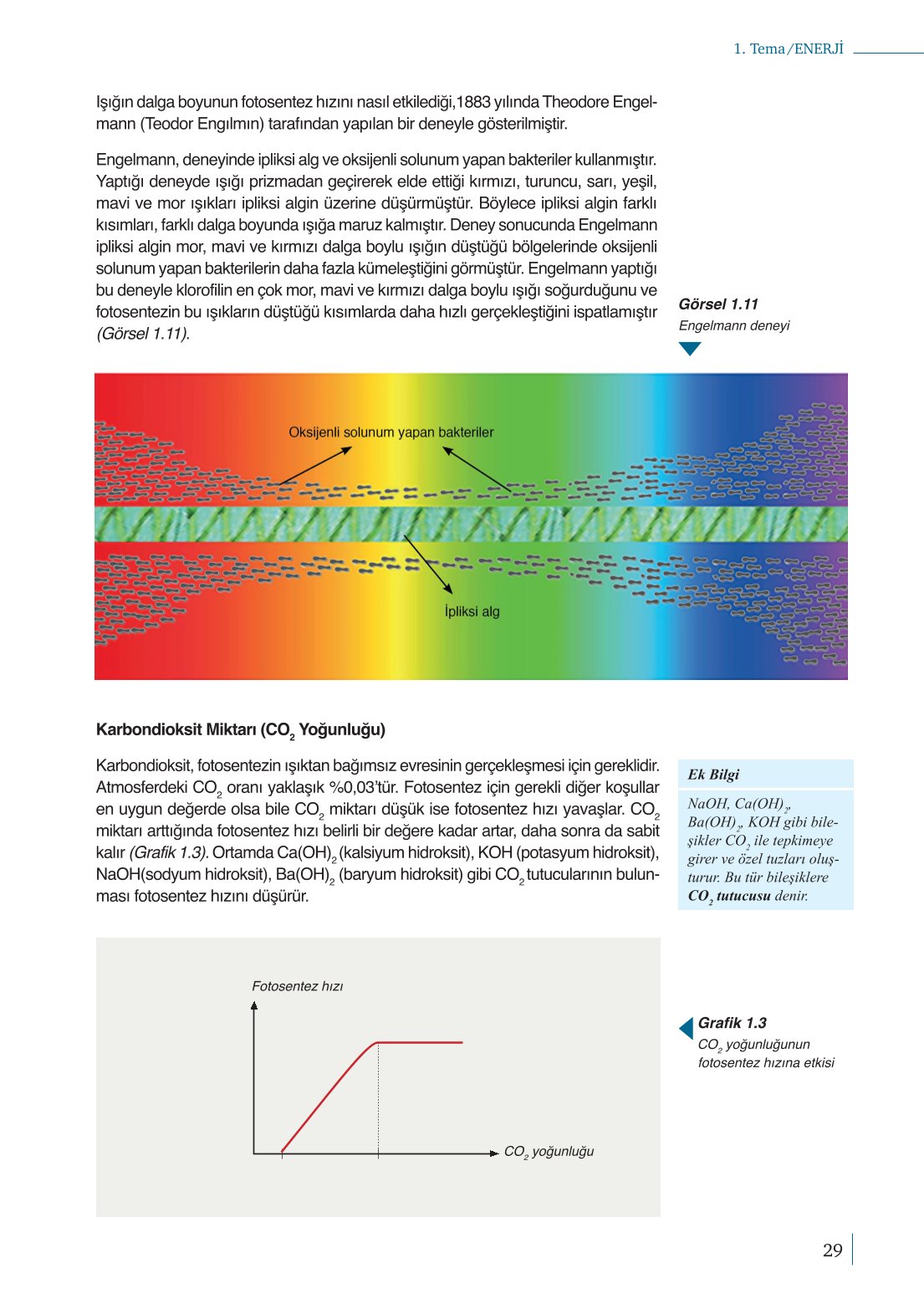 10. Sınıf Meb Yayınları Biyoloji Ders Kitabı Sayfa 29 Cevapları 10. Sınıf Meb Yayınları Biyoloji Ders Kitabı Sayfa 29 Cevapları