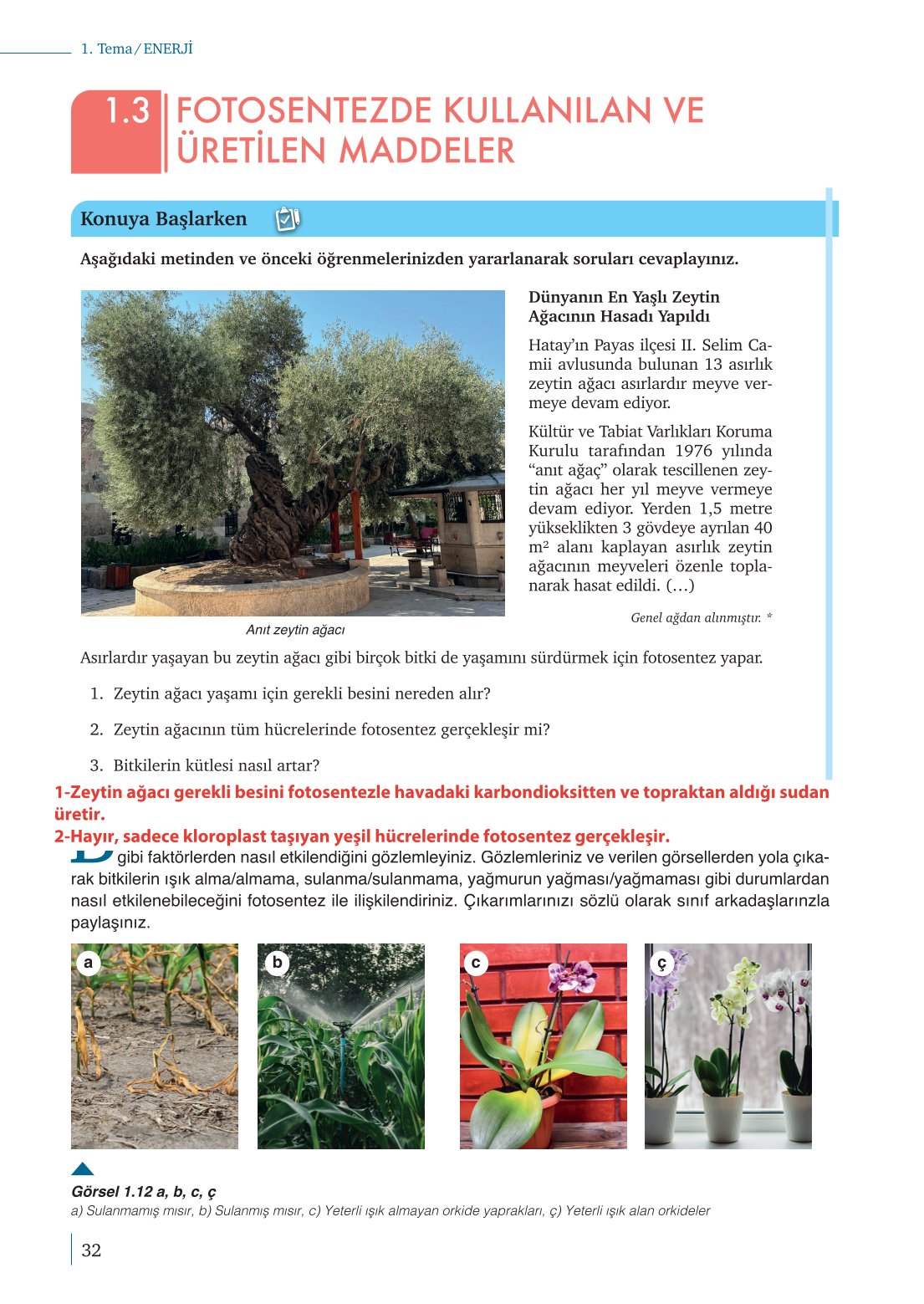 10. Sınıf Meb Yayınları Biyoloji Ders Kitabı Sayfa 32 Cevapları