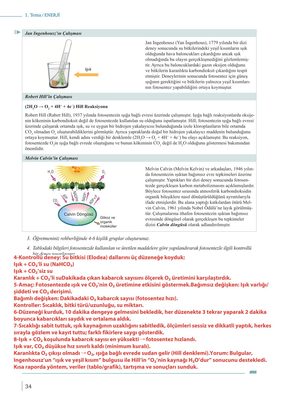 10. Sınıf Meb Yayınları Biyoloji Ders Kitabı Sayfa 34 Cevapları
