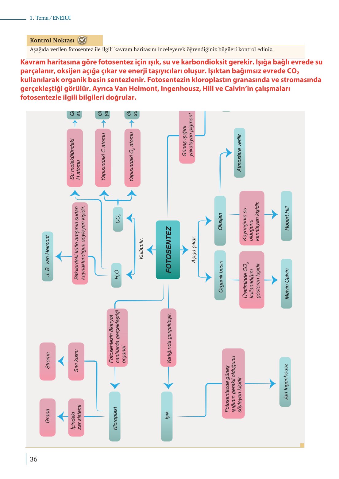 10. Sınıf Meb Yayınları Biyoloji Ders Kitabı Sayfa 36 Cevapları 10. Sınıf Meb Yayınları Biyoloji Ders Kitabı Sayfa 36 Cevapları