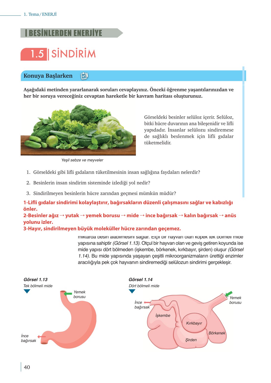 10. Sınıf Meb Yayınları Biyoloji Ders Kitabı Sayfa 40 Cevapları