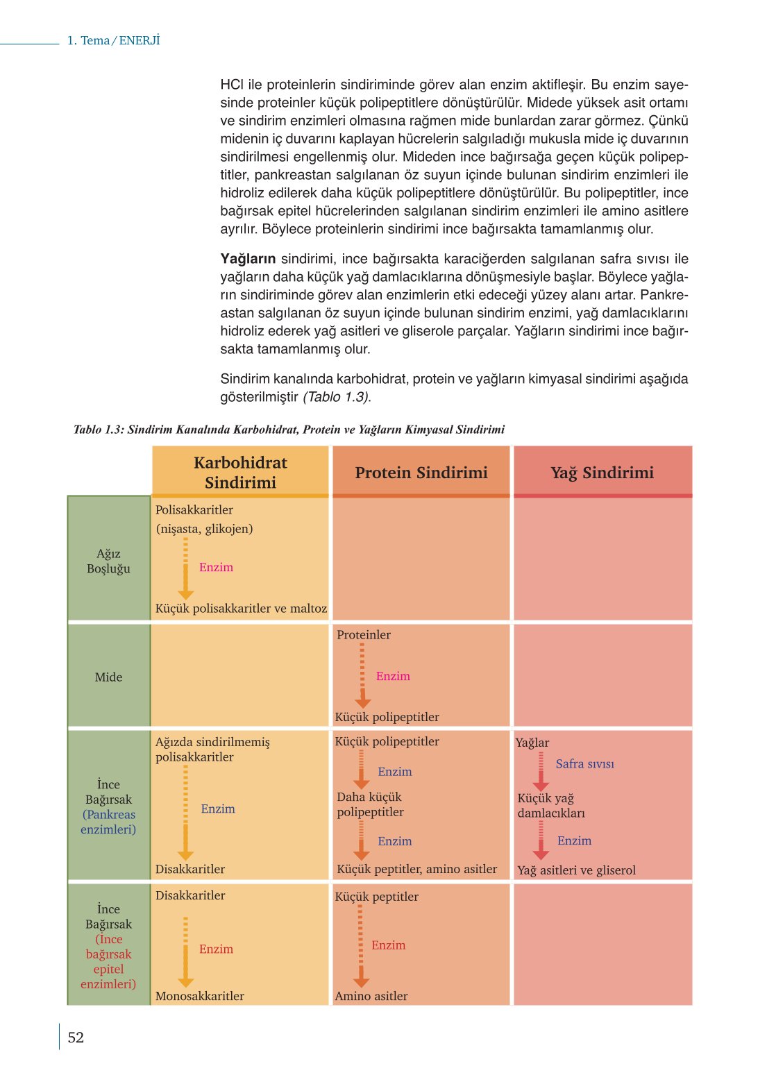 10. Sınıf Meb Yayınları Biyoloji Ders Kitabı Sayfa 52 Cevapları 10. Sınıf Meb Yayınları Biyoloji Ders Kitabı Sayfa 52 Cevapları