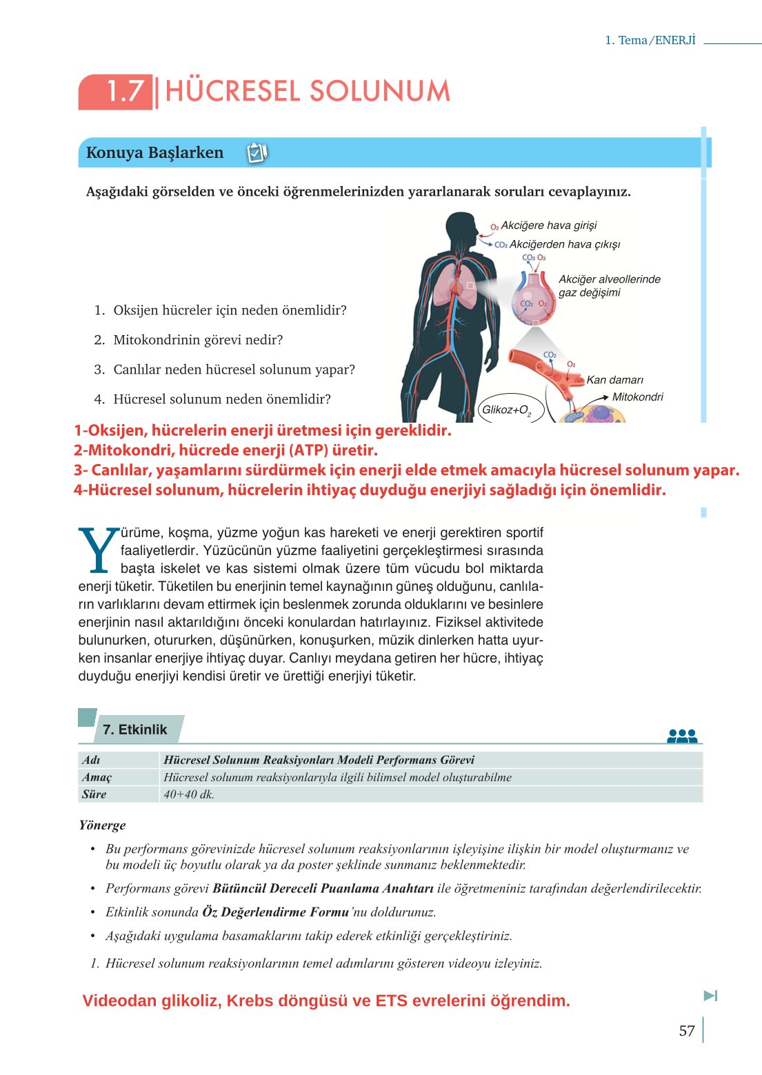 10. Sınıf Meb Yayınları Biyoloji Ders Kitabı Sayfa 57 Cevapları