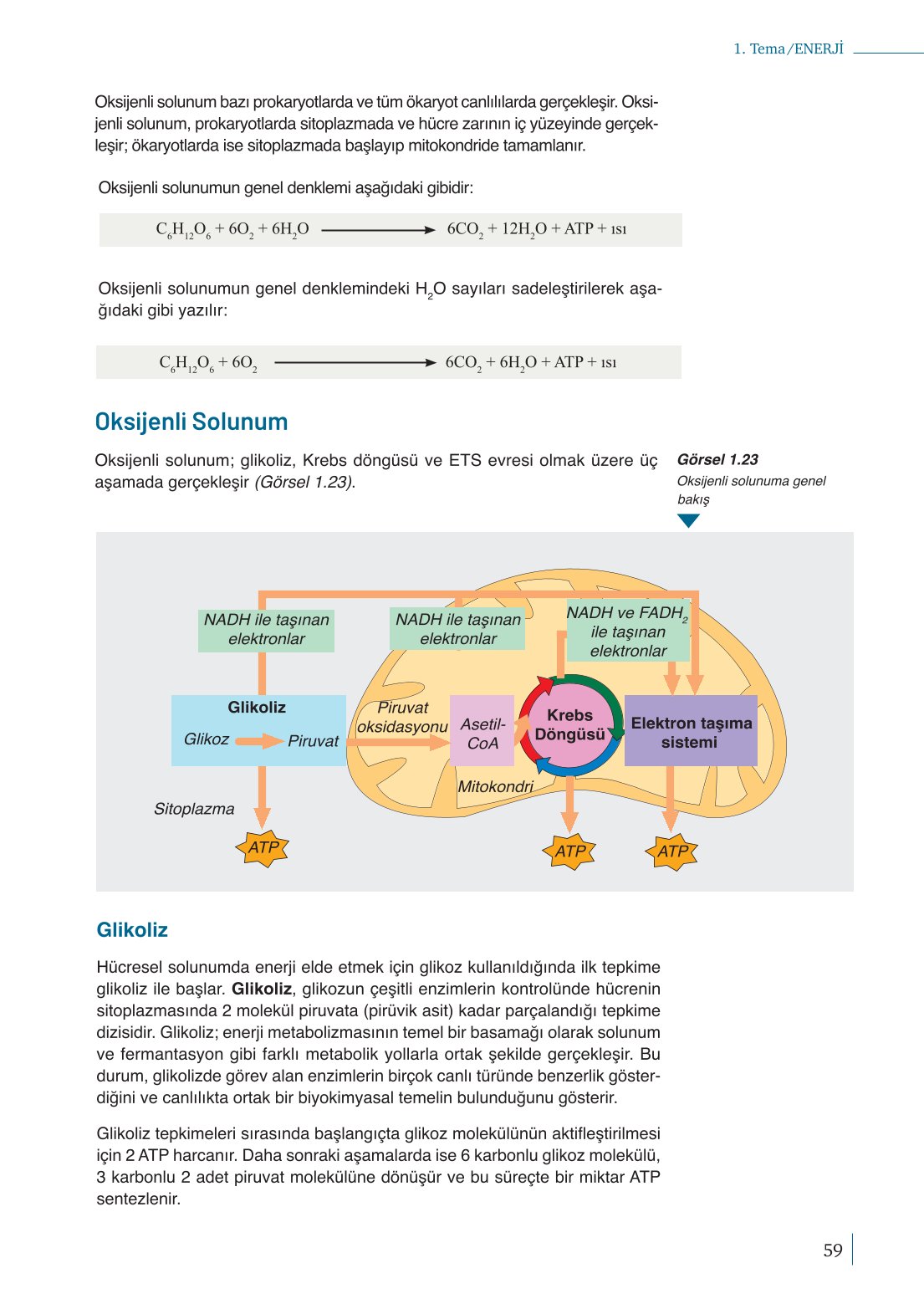 10. Sınıf Meb Yayınları Biyoloji Ders Kitabı Sayfa 59 Cevapları 10. Sınıf Meb Yayınları Biyoloji Ders Kitabı Sayfa 59 Cevapları