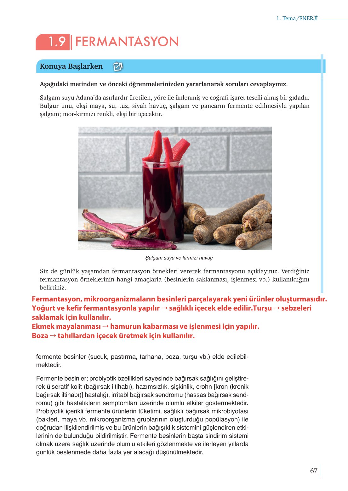 10. Sınıf Meb Yayınları Biyoloji Ders Kitabı Sayfa 67 Cevapları