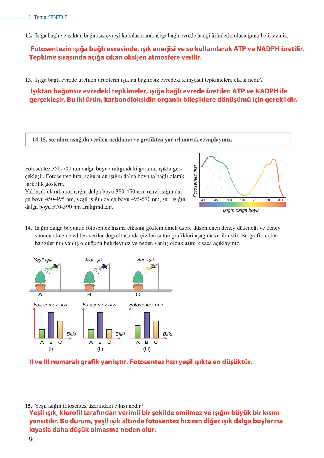 10. Sınıf Meb Yayınları Biyoloji Ders Kitabı Sayfa 80 Cevapları