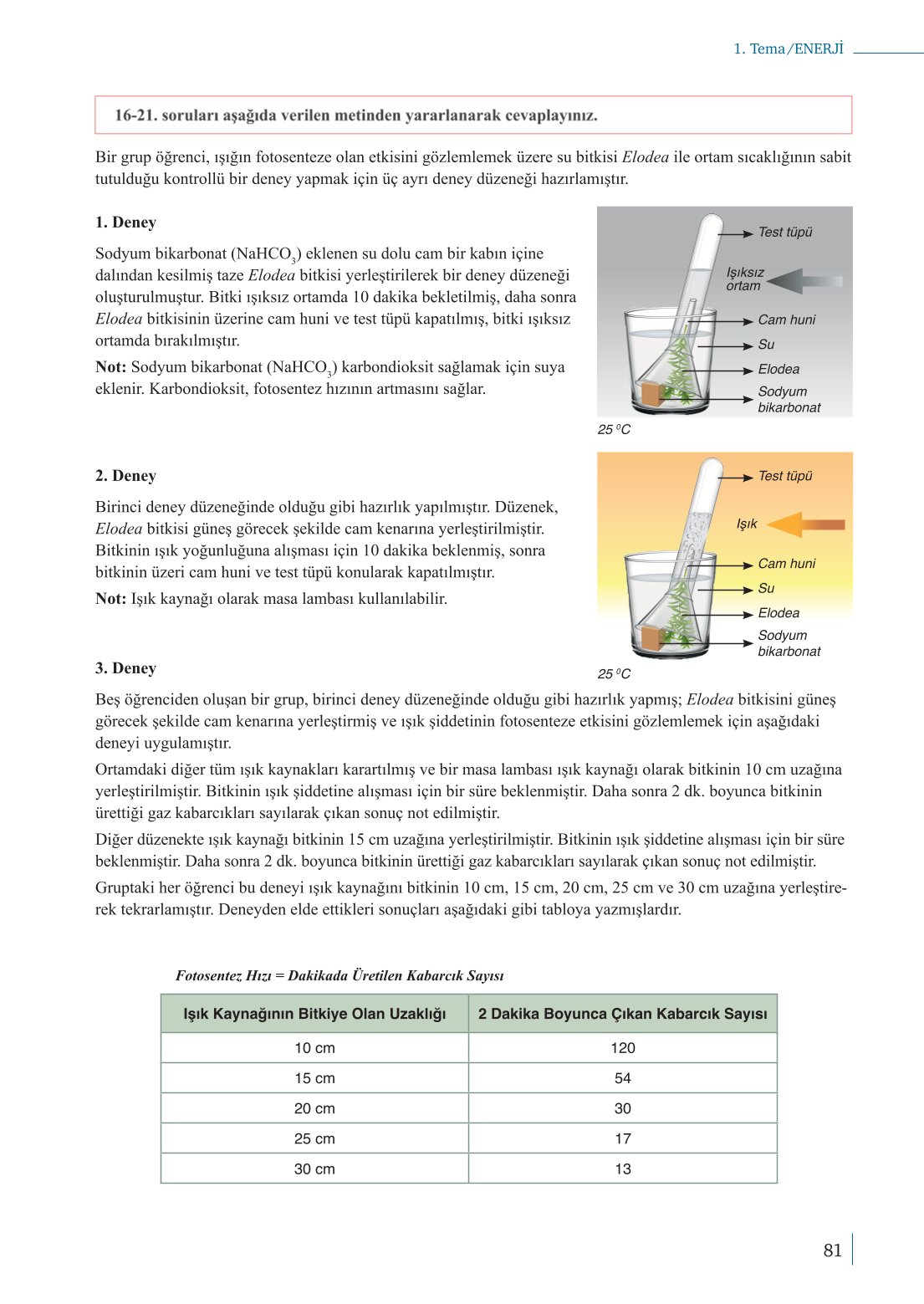 10. Sınıf Meb Yayınları Biyoloji Ders Kitabı Sayfa 81 Cevapları