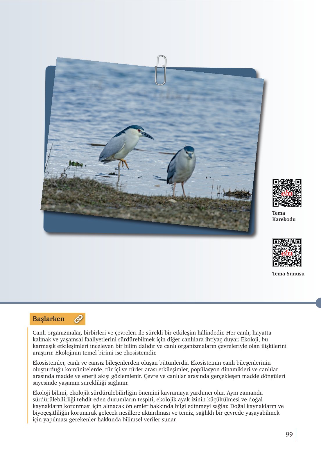 10. Sınıf Meb Yayınları Biyoloji Ders Kitabı Sayfa 99 Cevapları