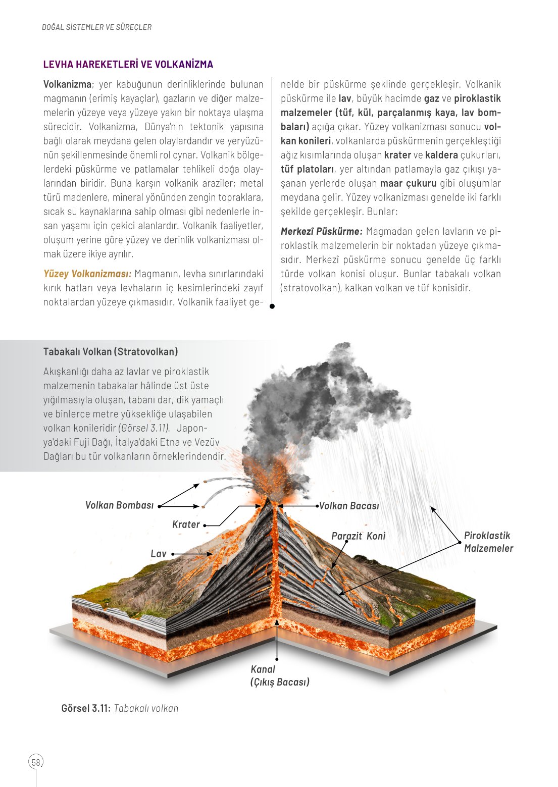 10. Sınıf Meb Yayınları Coğrafya Ders Kitabı Sayfa 58 Cevapları 10. Sınıf Meb Yayınları Coğrafya Ders Kitabı Sayfa 58 Cevapları