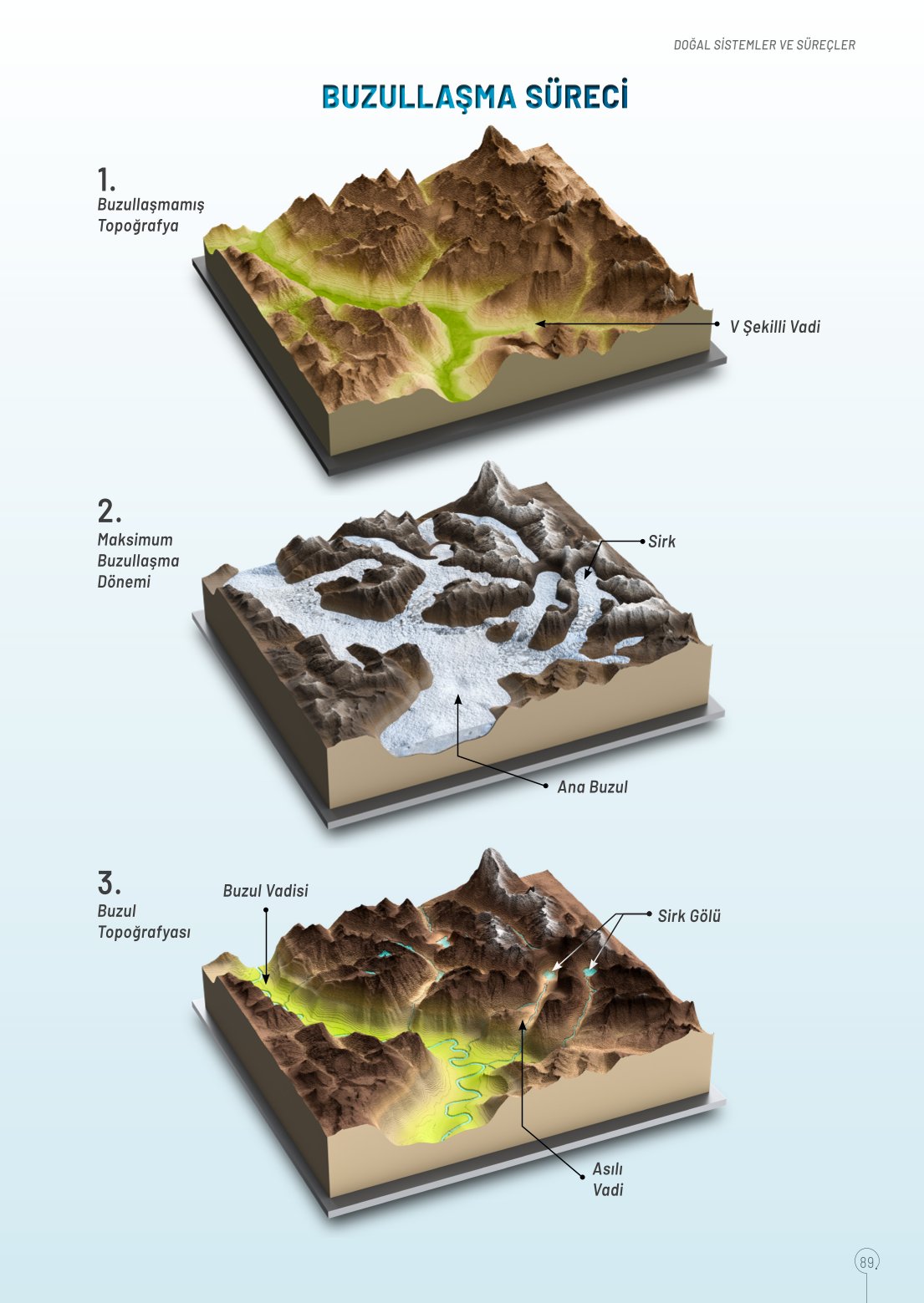 10. Sınıf Meb Yayınları Coğrafya Ders Kitabı Sayfa 89 Cevapları