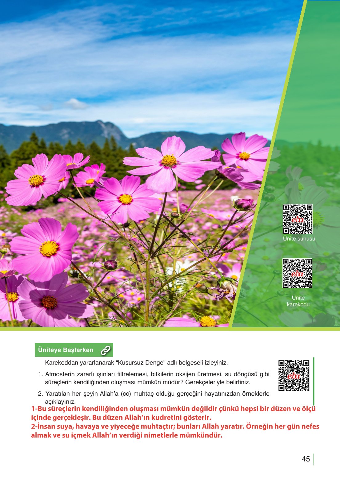 10. Sınıf Meb Yayınları Din Kültürü Ve Ahlak Bilgisi Ders Kitabı Sayfa 45 Cevapları