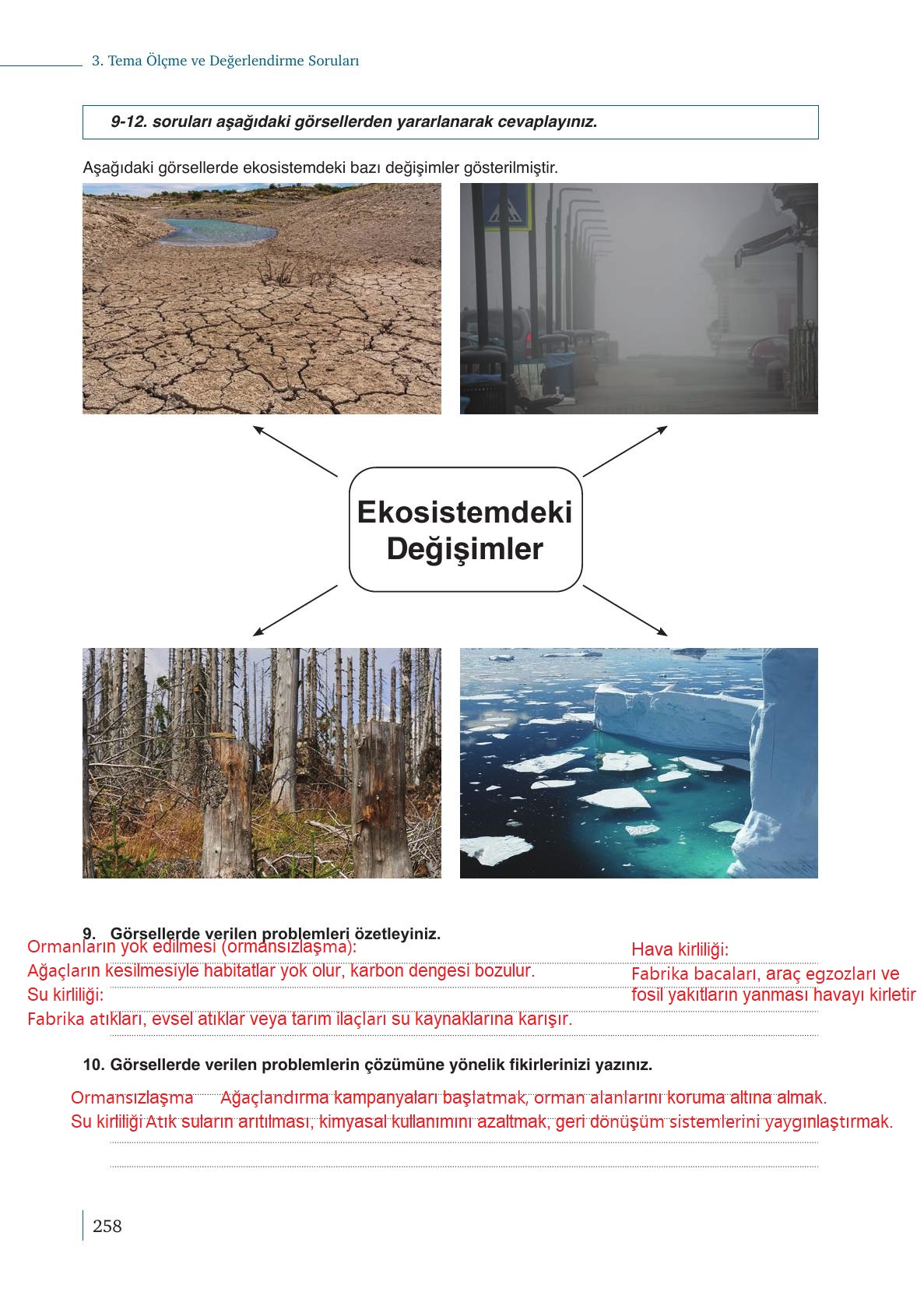 10. Sınıf Meb Yayınları Kimya Ders Kitabı Sayfa 258 Cevapları