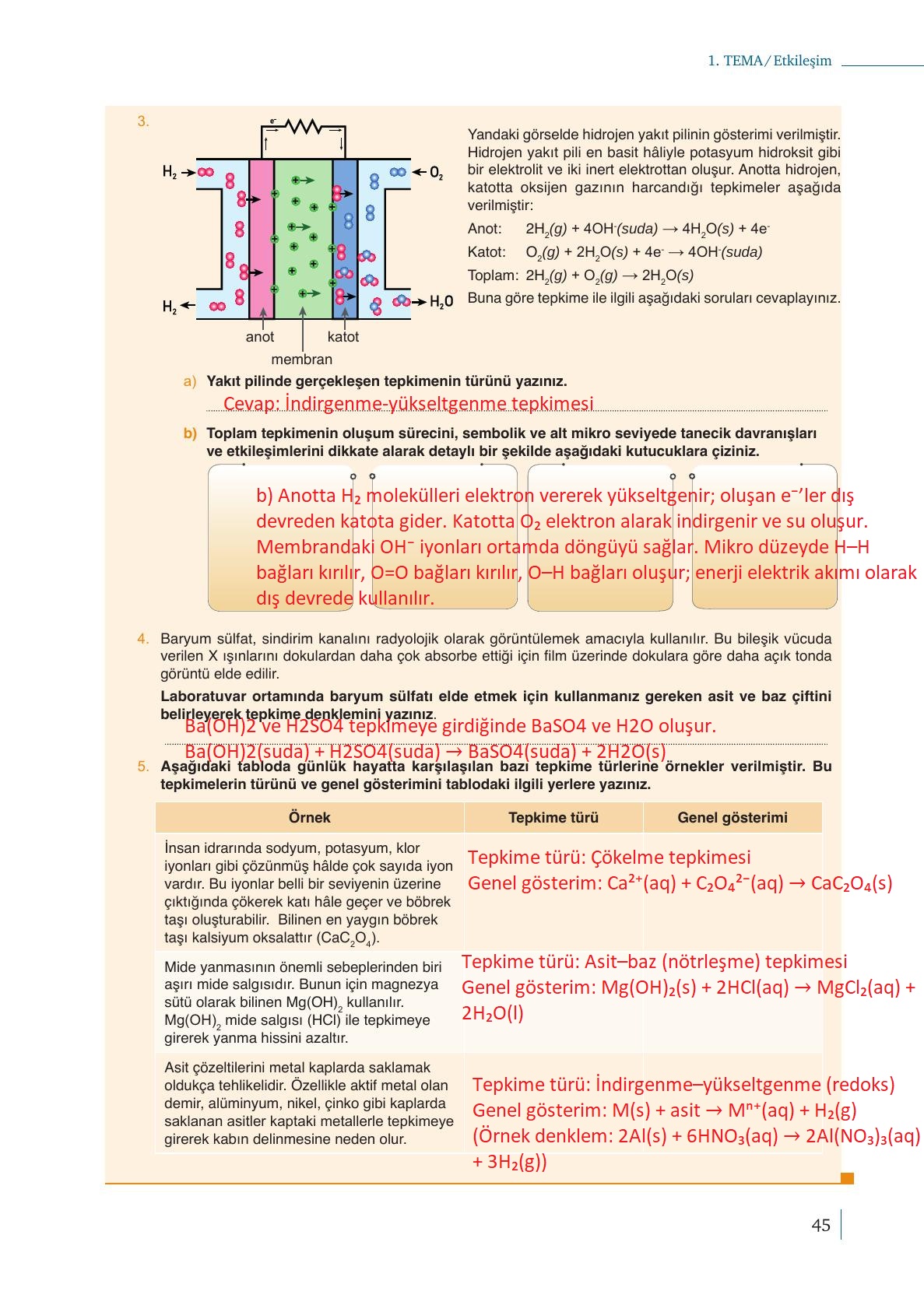 10. Sınıf Meb Yayınları Kimya Ders Kitabı Sayfa 45 Cevapları