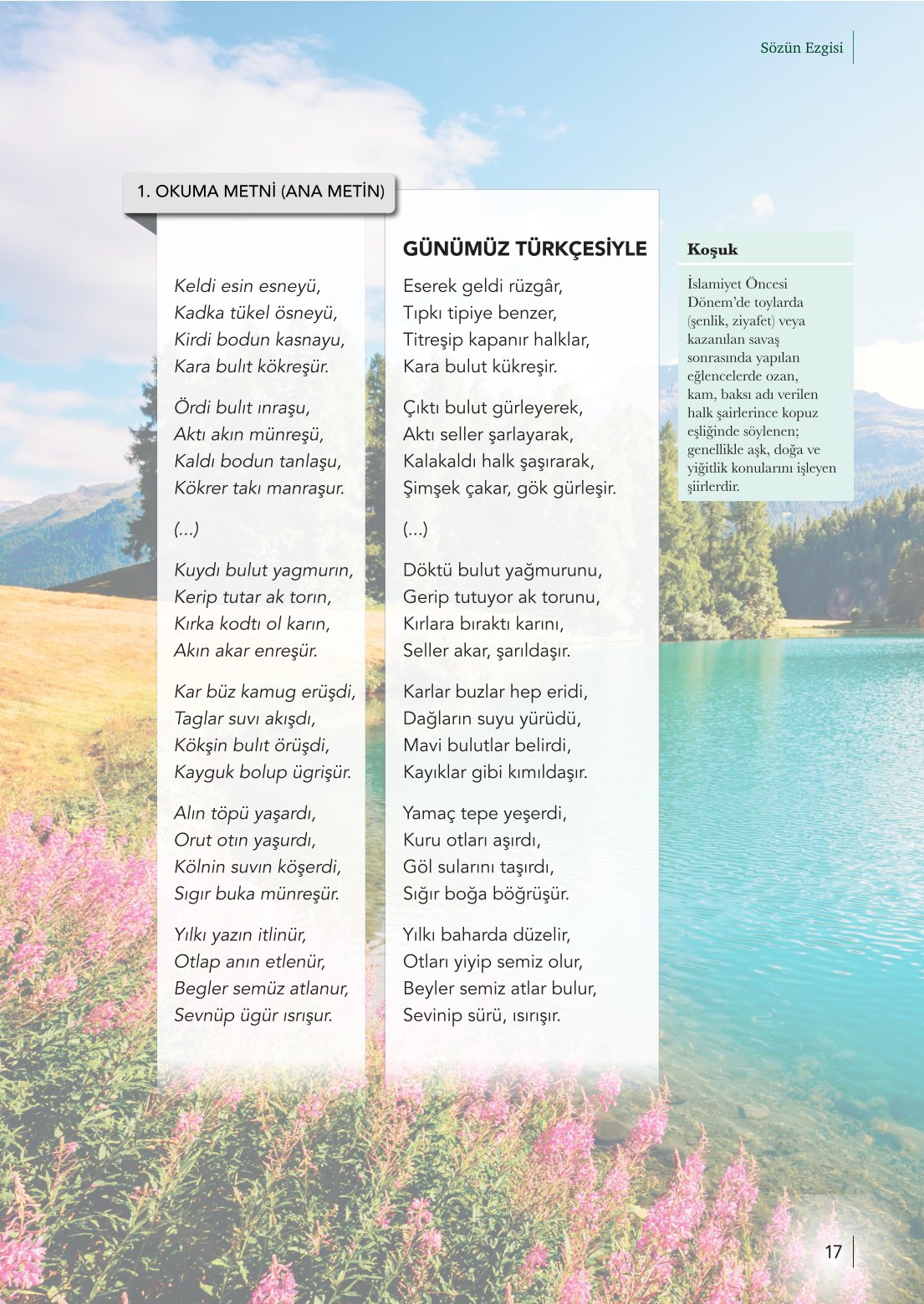 10. Sınıf Meb Yayınları Türk Dili Ve Edebiyatı Ders Kitabı Sayfa 17 Cevapları