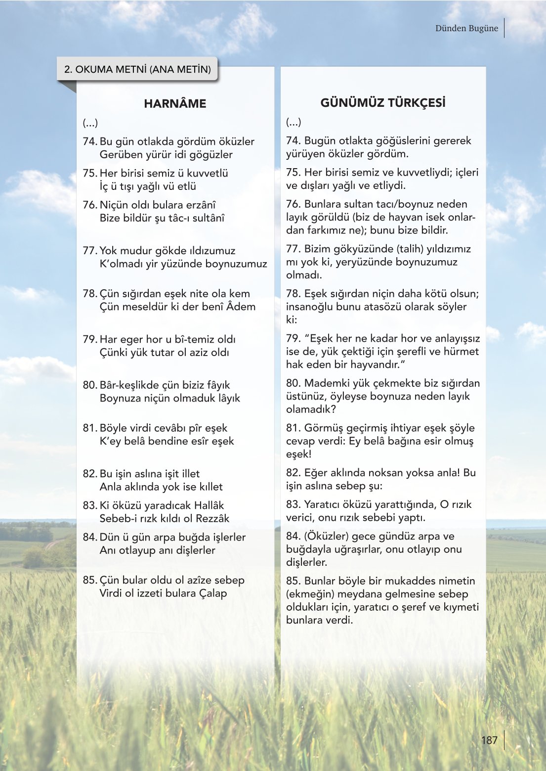 10. Sınıf Meb Yayınları Türk Dili Ve Edebiyatı Ders Kitabı Sayfa 187 Cevapları