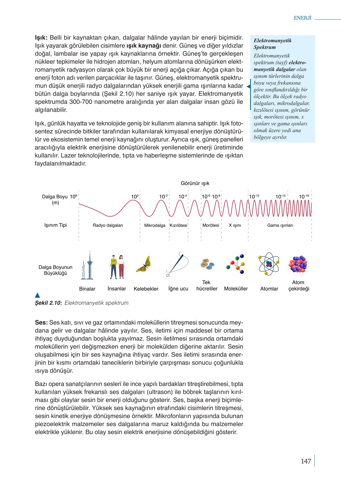 10. Sınıf Meb Yayınları Fizik Ders Kitabı Sayfa 147 Cevapları