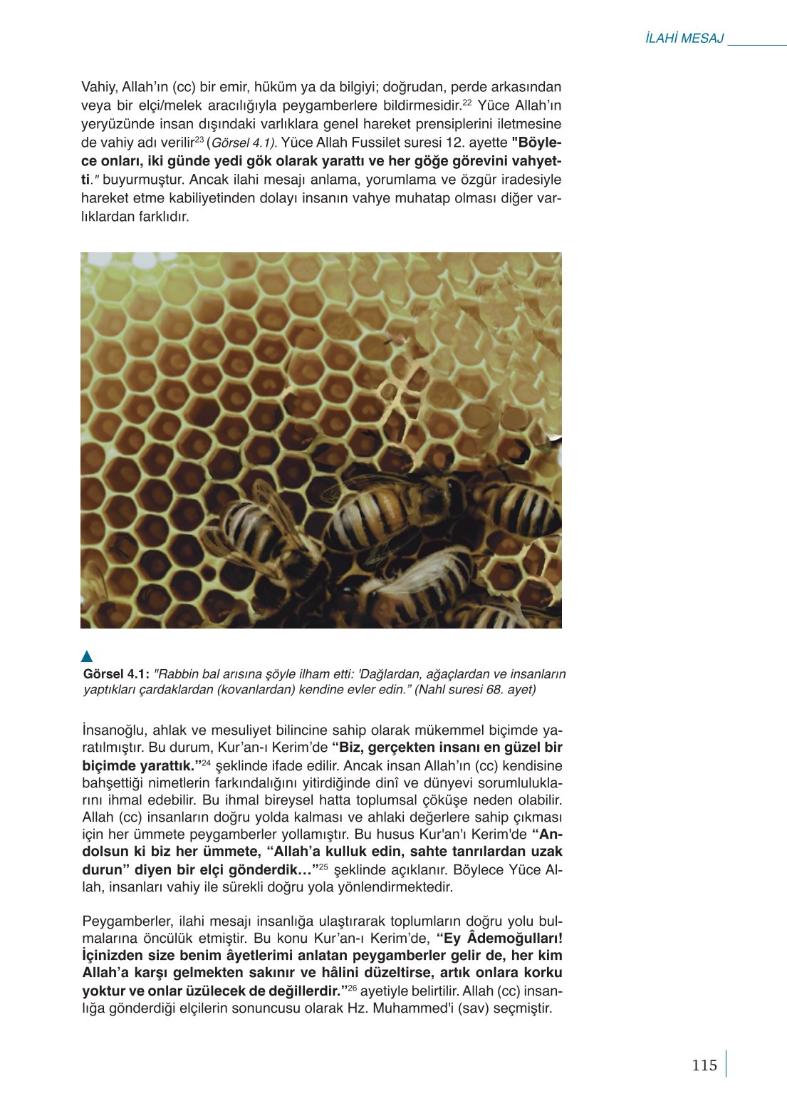 10. Sınıf Meb Yayınları Peygamberimizin Hayatı Ders Kitabı Sayfa 115 Cevapları