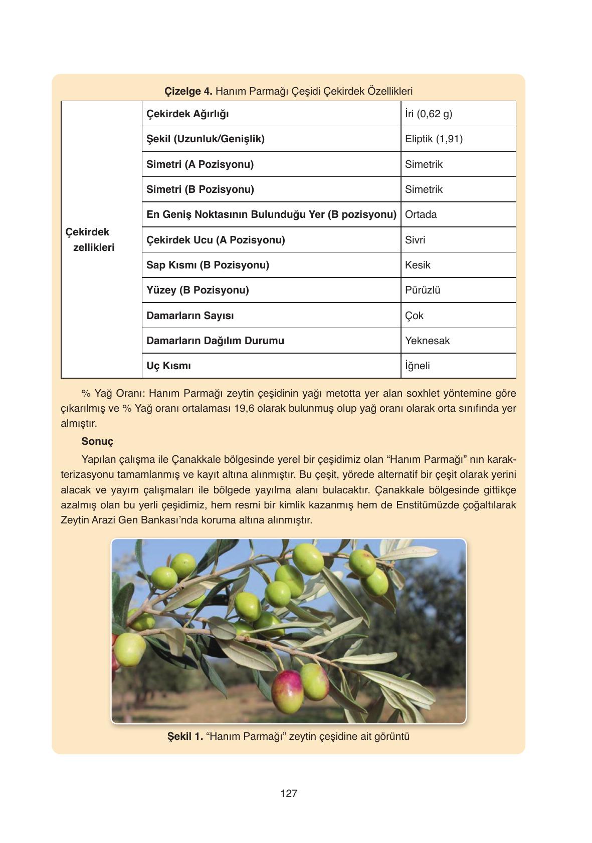 11. Sınıf Ata Yayıncılık Türk Dili Ve Edebiyatı Ders Kitabı Sayfa 127 Cevapları