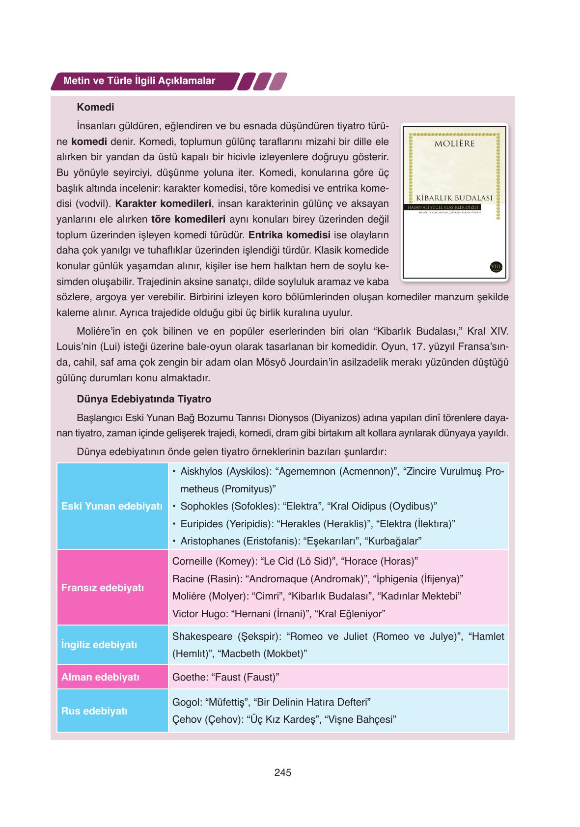 11. Sınıf Ata Yayıncılık Türk Dili Ve Edebiyatı Ders Kitabı Sayfa 245 Cevapları