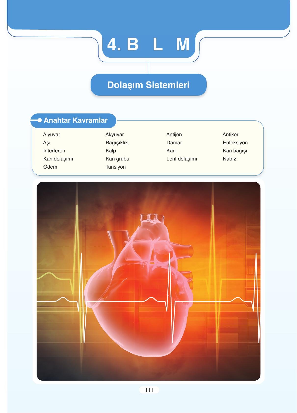 11. Sınıf Tutku Yayıncılık Biyoloji Ders Kitabı Sayfa 111 Cevapları