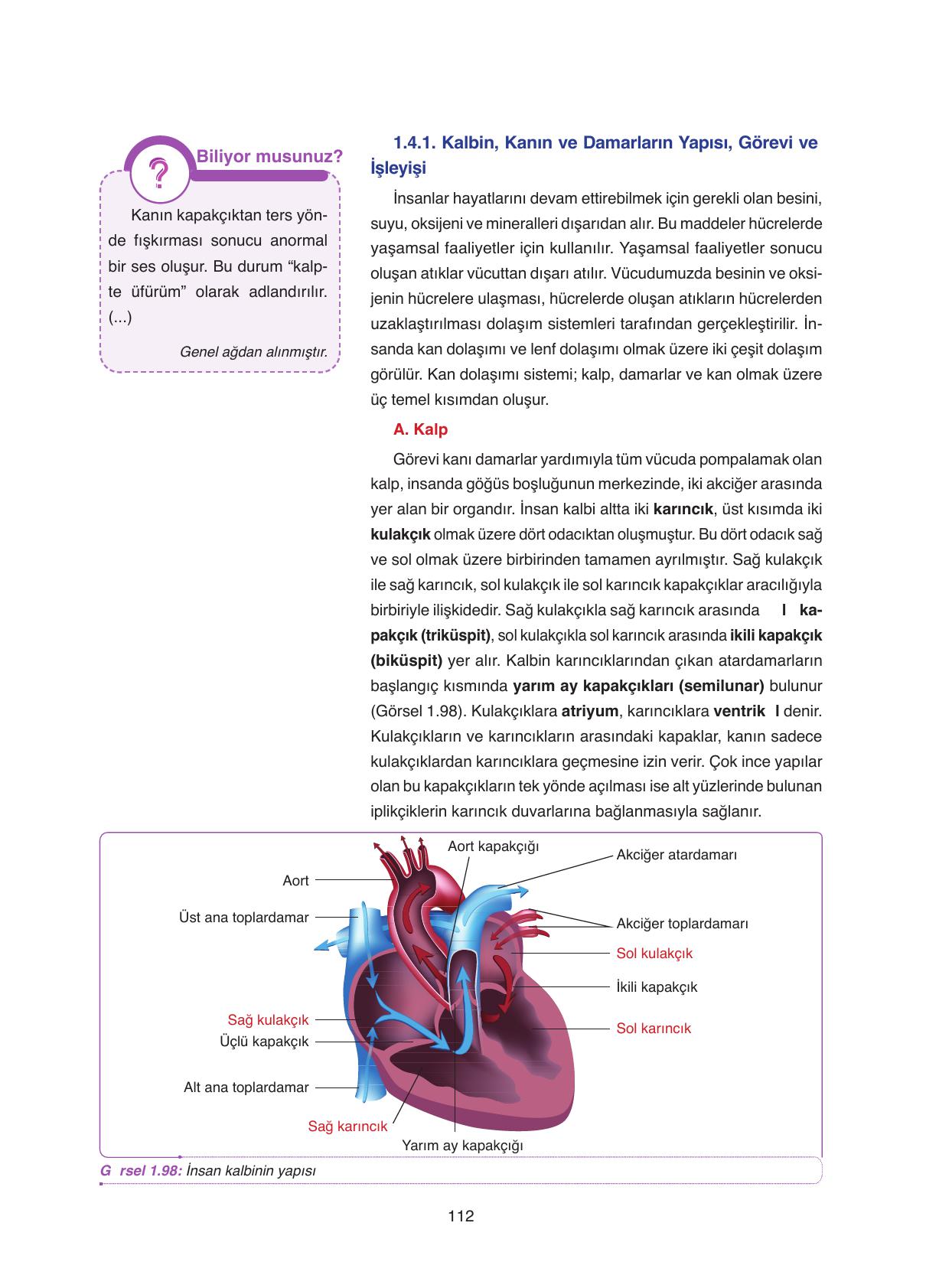 11. Sınıf Tutku Yayıncılık Biyoloji Ders Kitabı Sayfa 112 Cevapları