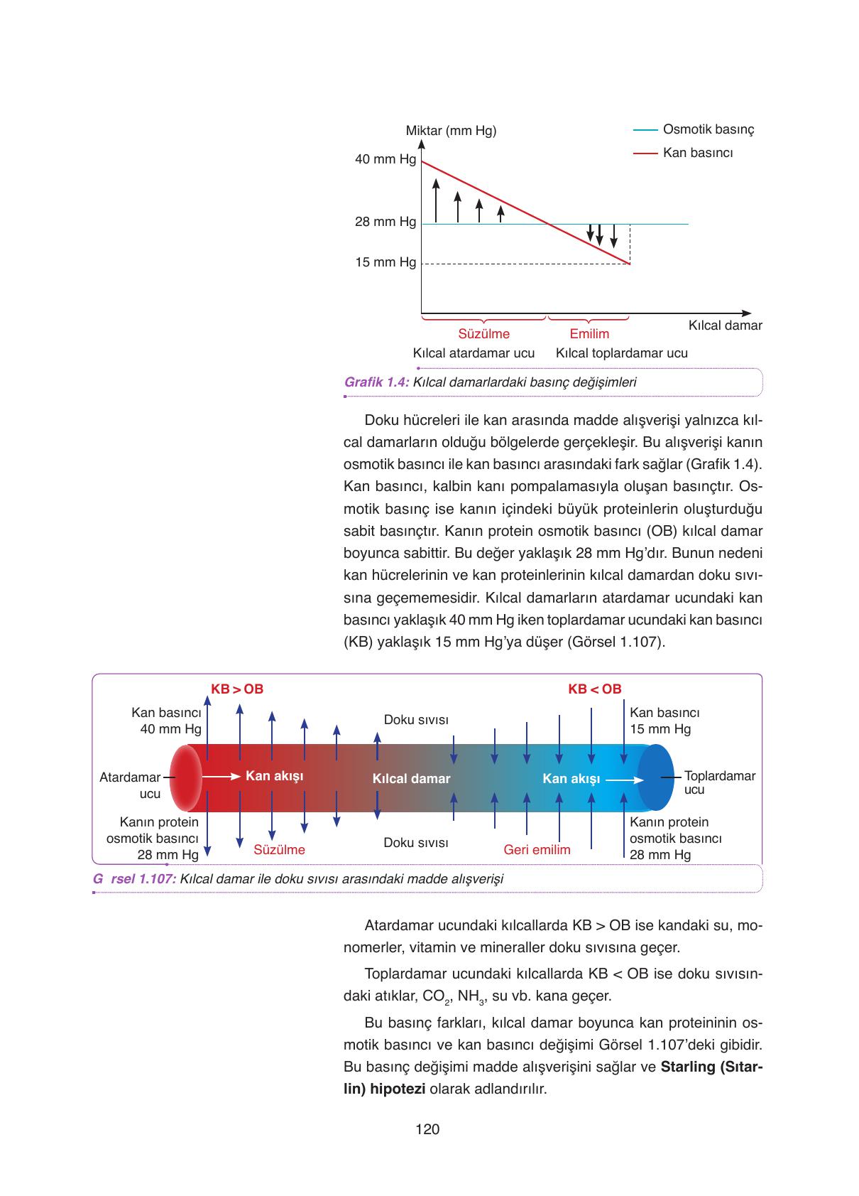 11. Sınıf Tutku Yayıncılık Biyoloji Ders Kitabı Sayfa 120 Cevapları