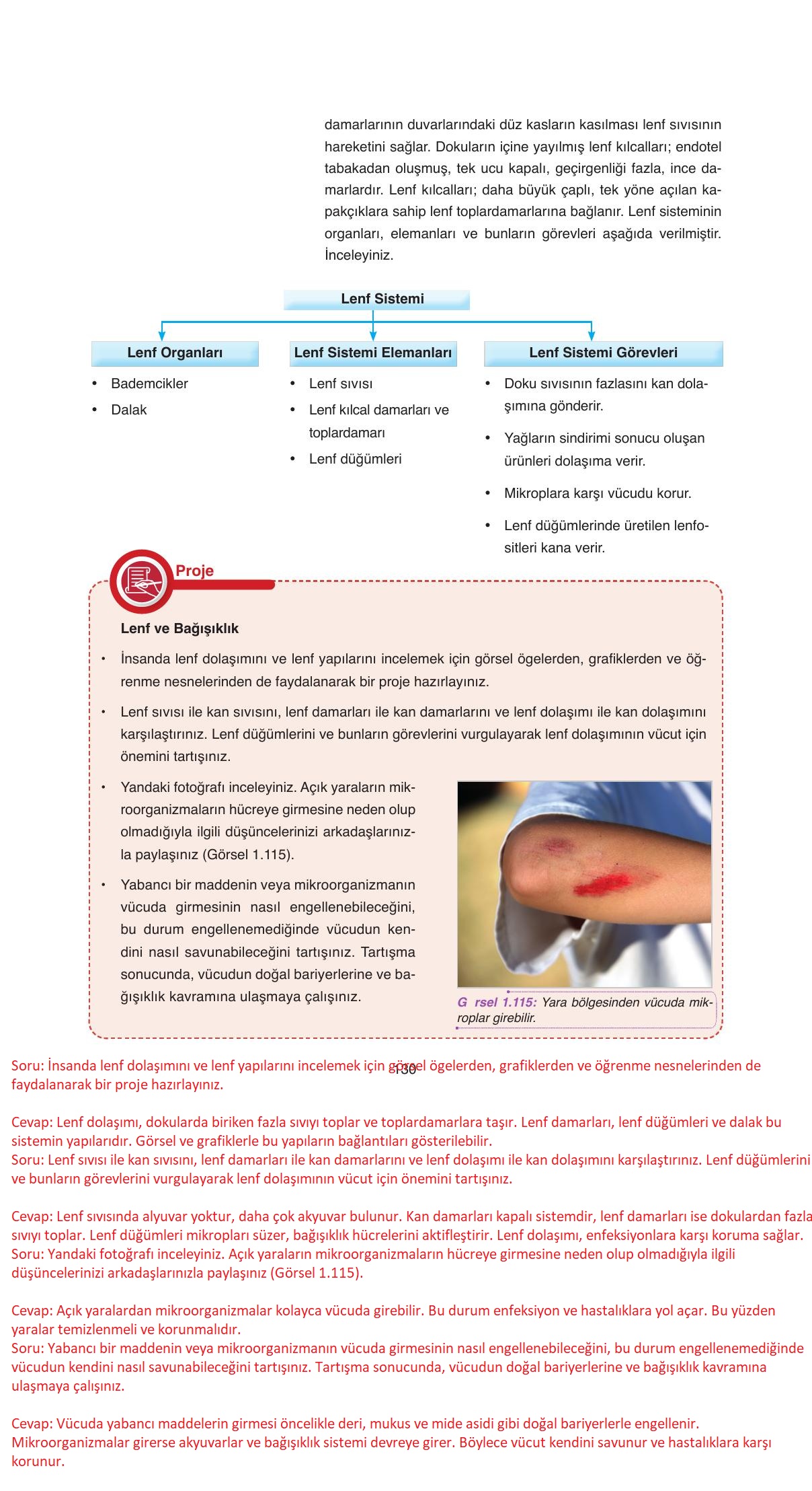 11. Sınıf Tutku Yayıncılık Biyoloji Ders Kitabı Sayfa 130 Cevapları