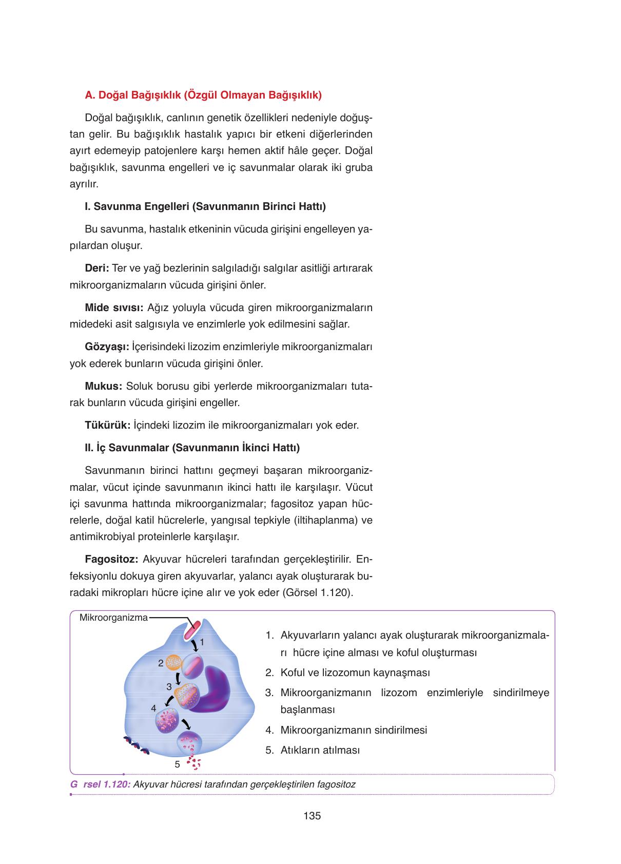 11. Sınıf Tutku Yayıncılık Biyoloji Ders Kitabı Sayfa 135 Cevapları