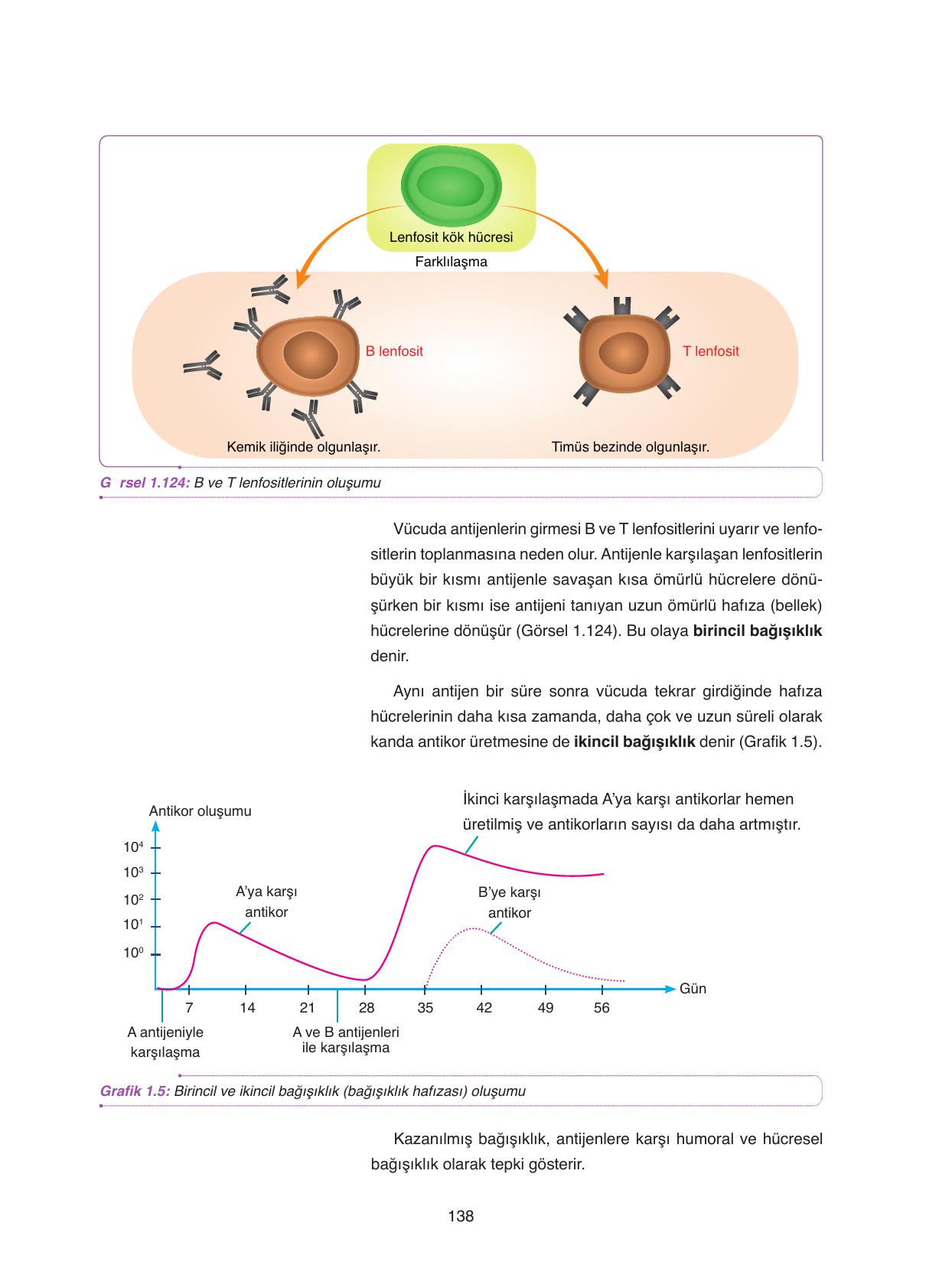 11. Sınıf Tutku Yayıncılık Biyoloji Ders Kitabı Sayfa 138 Cevapları 11. Sınıf Tutku Yayıncılık Biyoloji Ders Kitabı Sayfa 138 Cevapları