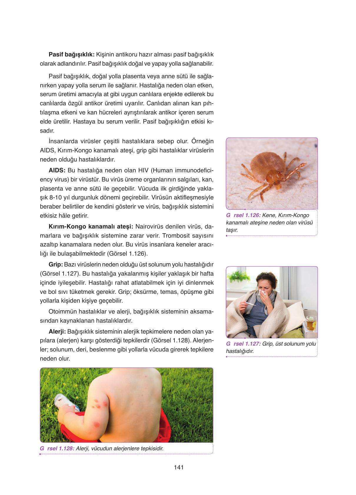 11. Sınıf Tutku Yayıncılık Biyoloji Ders Kitabı Sayfa 141 Cevapları