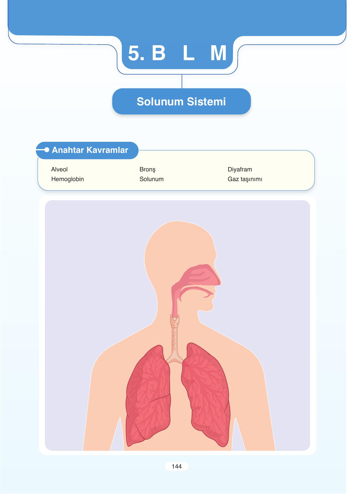 11. Sınıf Tutku Yayıncılık Biyoloji Ders Kitabı Sayfa 144 Cevapları 11. Sınıf Tutku Yayıncılık Biyoloji Ders Kitabı Sayfa 144 Cevapları