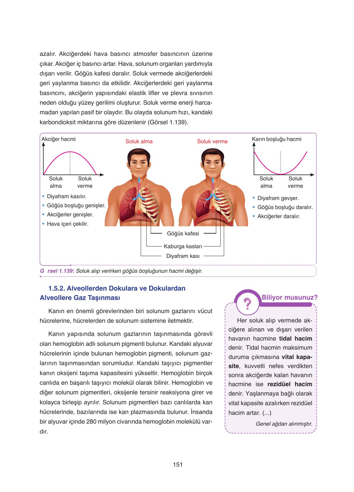 11. Sınıf Tutku Yayıncılık Biyoloji Ders Kitabı Sayfa 151 Cevapları 11. Sınıf Tutku Yayıncılık Biyoloji Ders Kitabı Sayfa 151 Cevapları