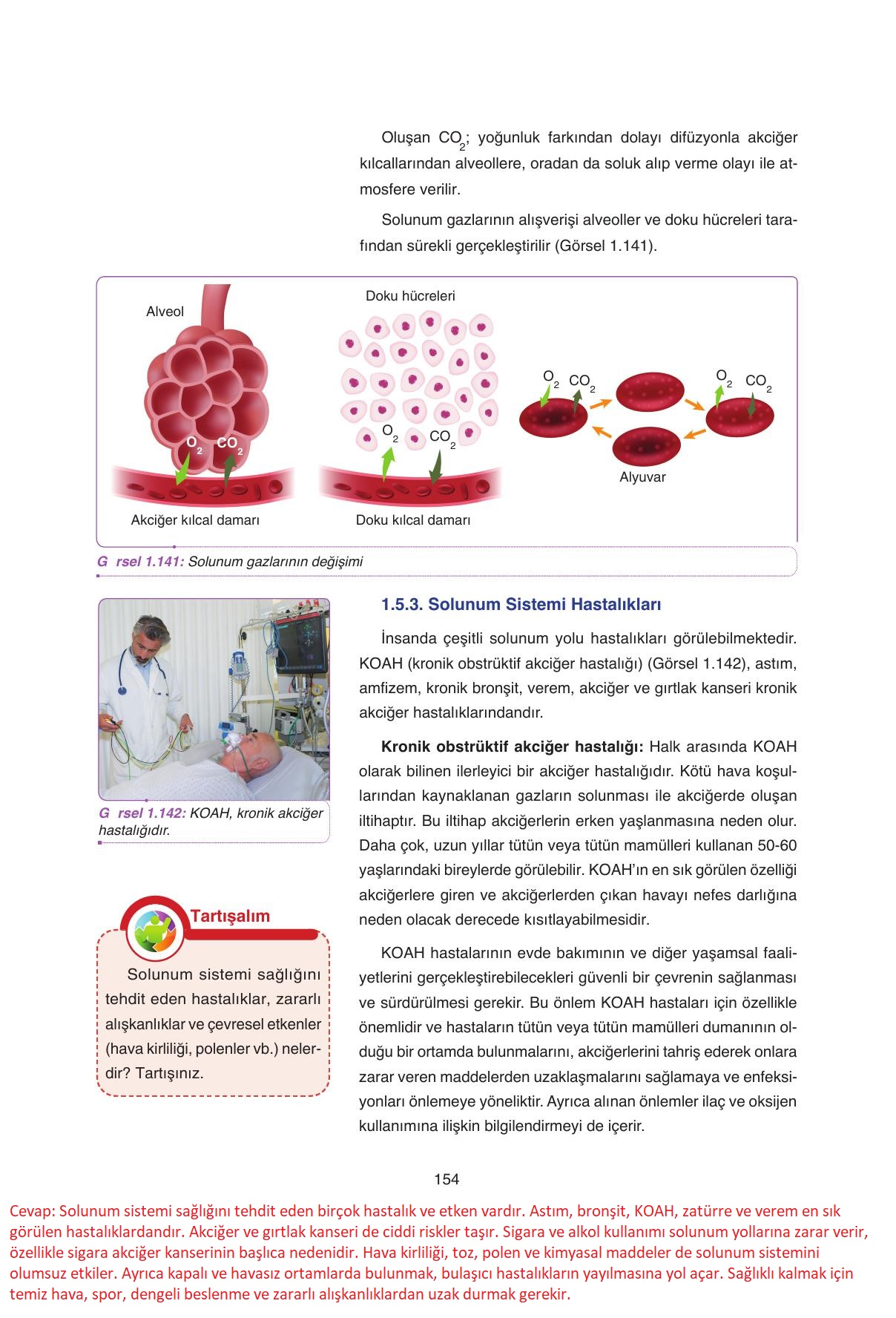 11. Sınıf Tutku Yayıncılık Biyoloji Ders Kitabı Sayfa 154 Cevapları