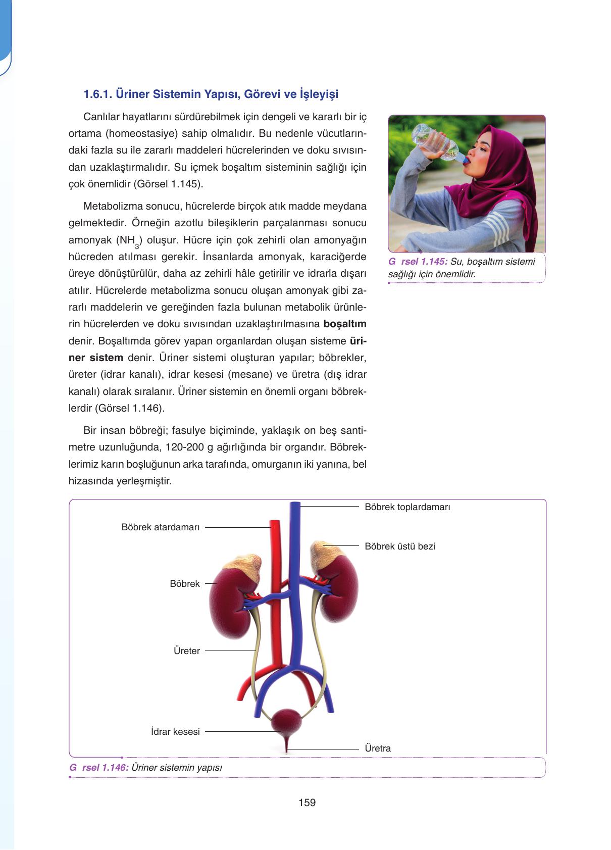 11. Sınıf Tutku Yayıncılık Biyoloji Ders Kitabı Sayfa 159 Cevapları