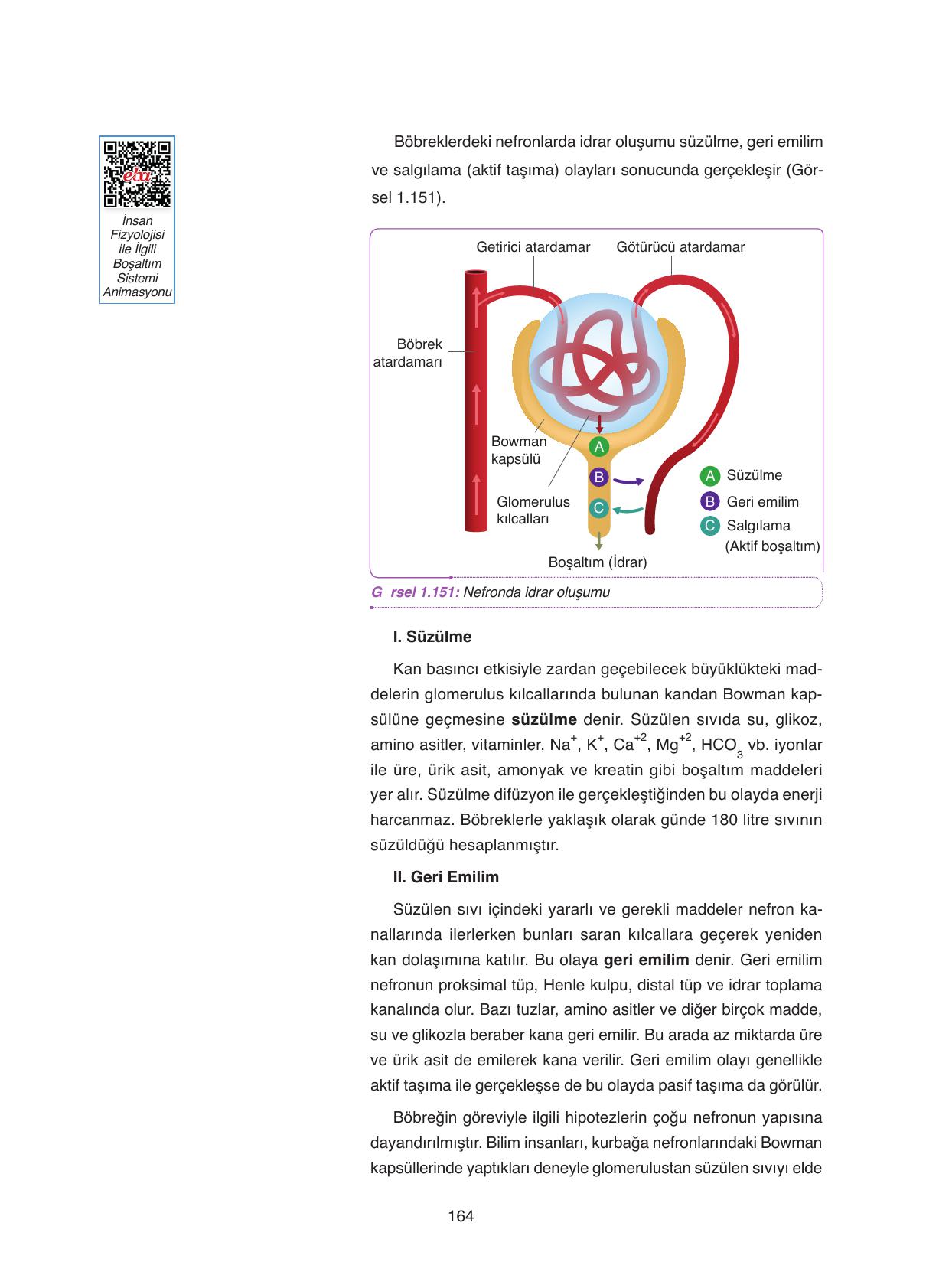 11. Sınıf Tutku Yayıncılık Biyoloji Ders Kitabı Sayfa 164 Cevapları