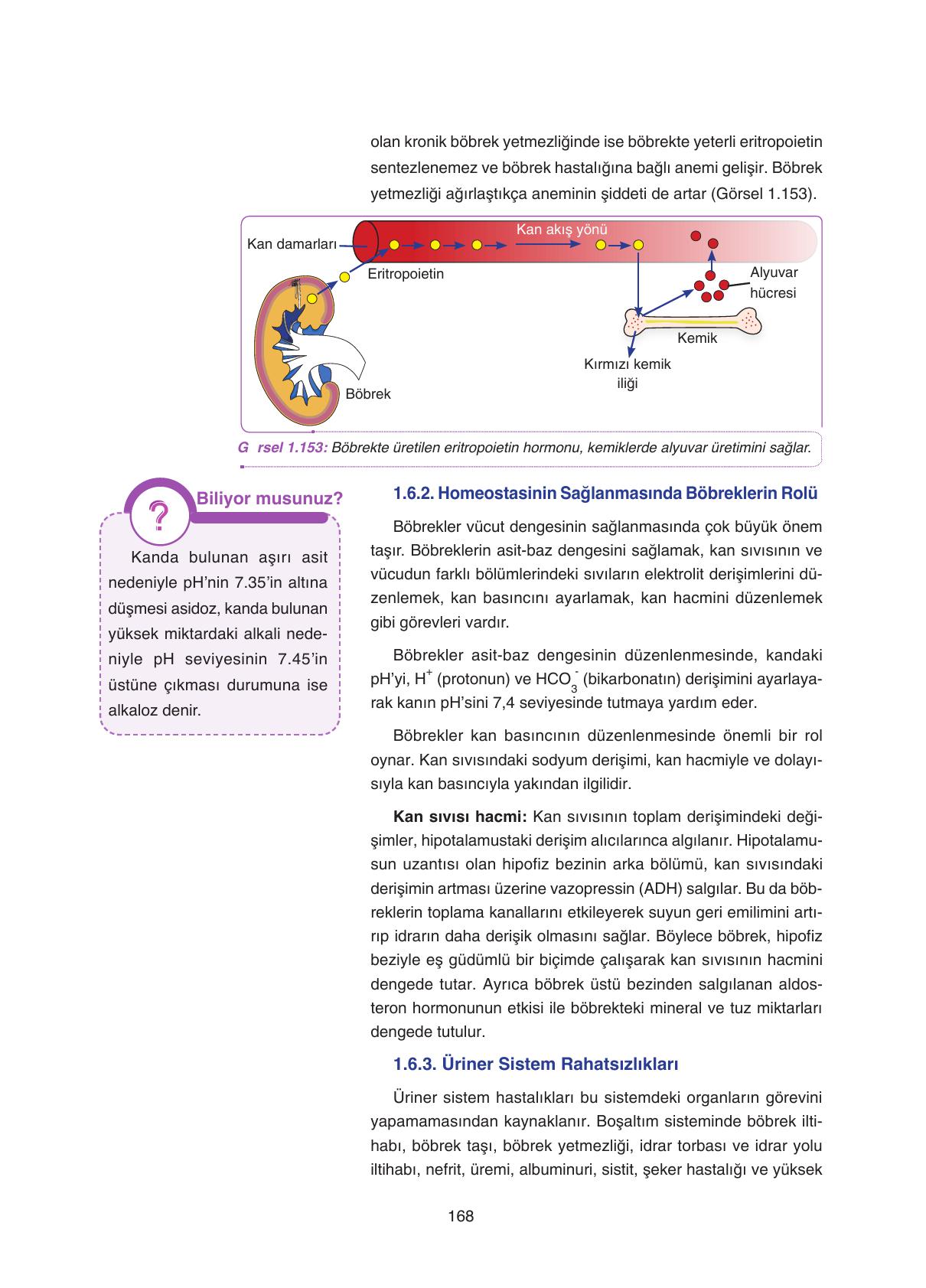 11. Sınıf Tutku Yayıncılık Biyoloji Ders Kitabı Sayfa 168 Cevapları