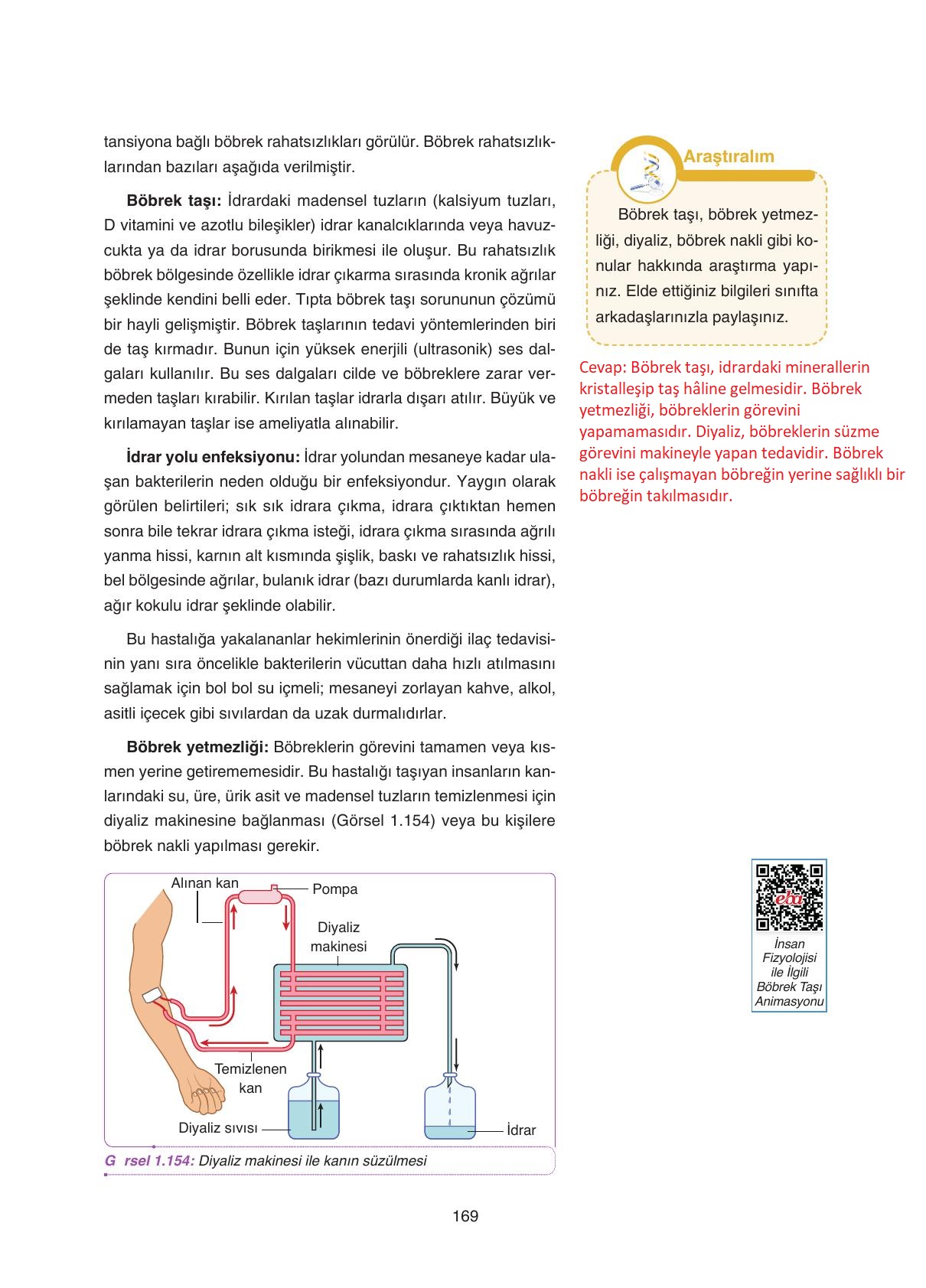 11. Sınıf Tutku Yayıncılık Biyoloji Ders Kitabı Sayfa 169 Cevapları 11. Sınıf Tutku Yayıncılık Biyoloji Ders Kitabı Sayfa 169 Cevapları