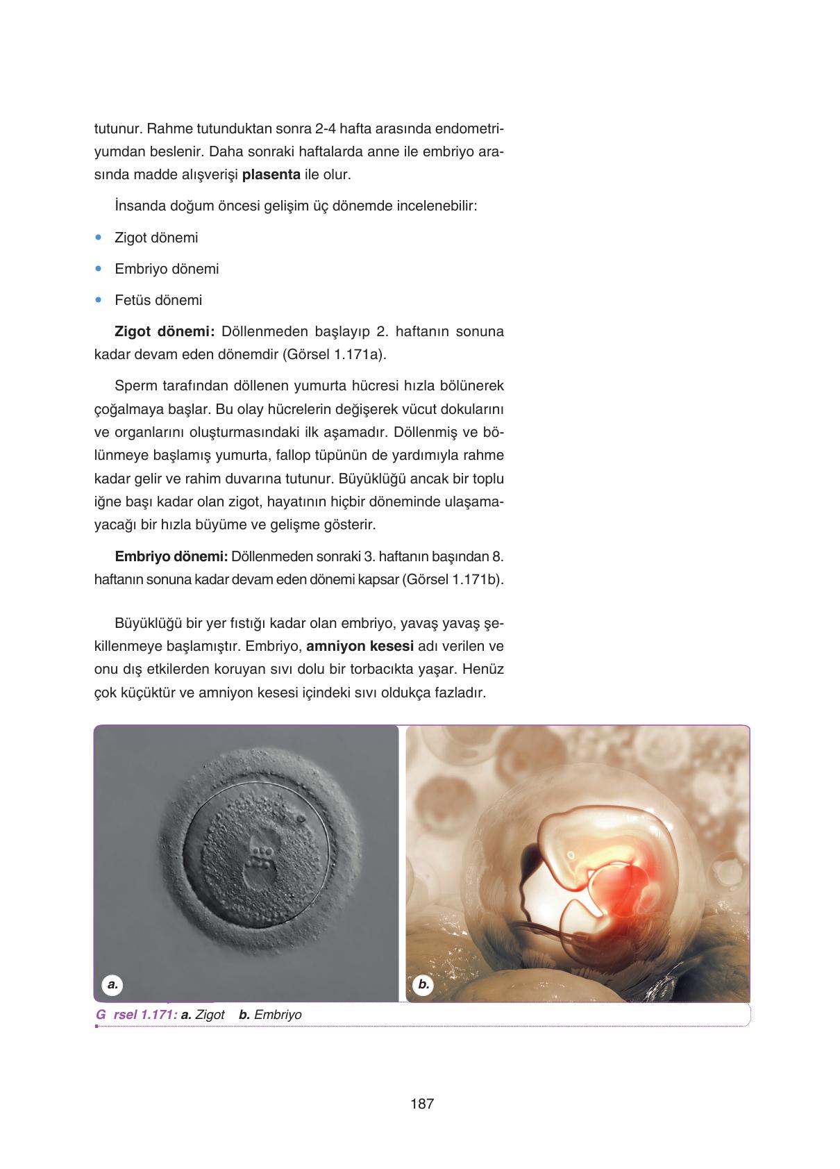 11. Sınıf Tutku Yayıncılık Biyoloji Ders Kitabı Sayfa 187 Cevapları