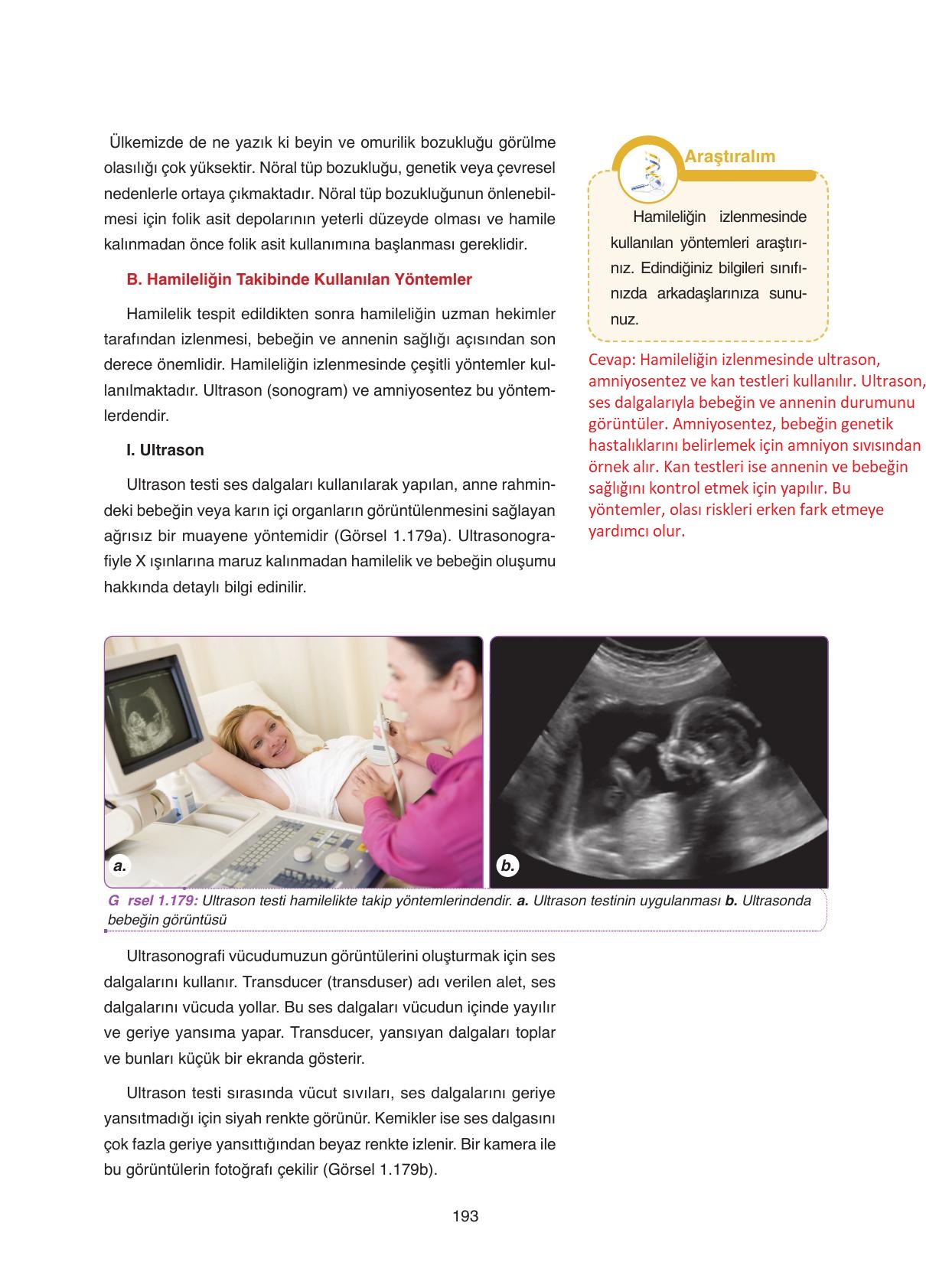 11. Sınıf Tutku Yayıncılık Biyoloji Ders Kitabı Sayfa 193 Cevapları 11. Sınıf Tutku Yayıncılık Biyoloji Ders Kitabı Sayfa 193 Cevapları