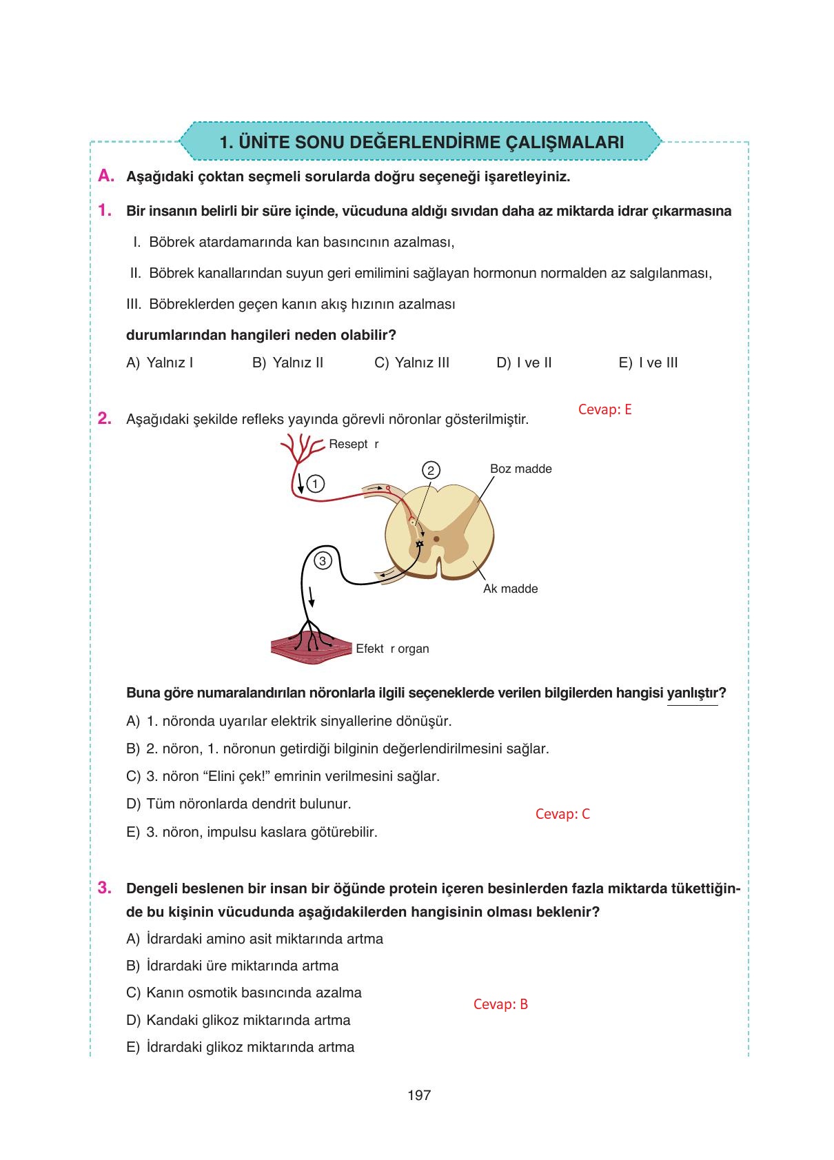 11. Sınıf Tutku Yayıncılık Biyoloji Ders Kitabı Sayfa 197 Cevapları