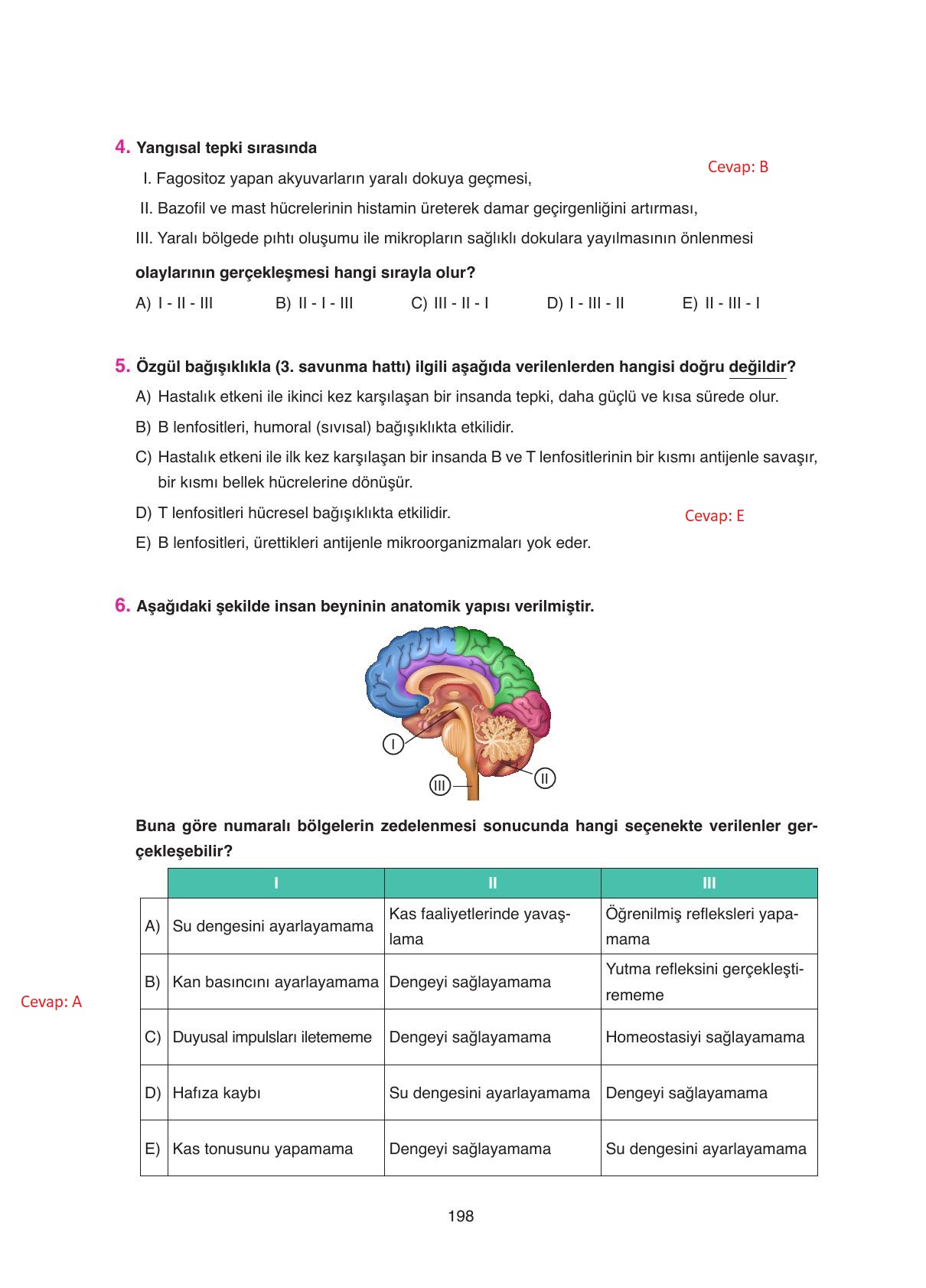 11. Sınıf Tutku Yayıncılık Biyoloji Ders Kitabı Sayfa 198 Cevapları